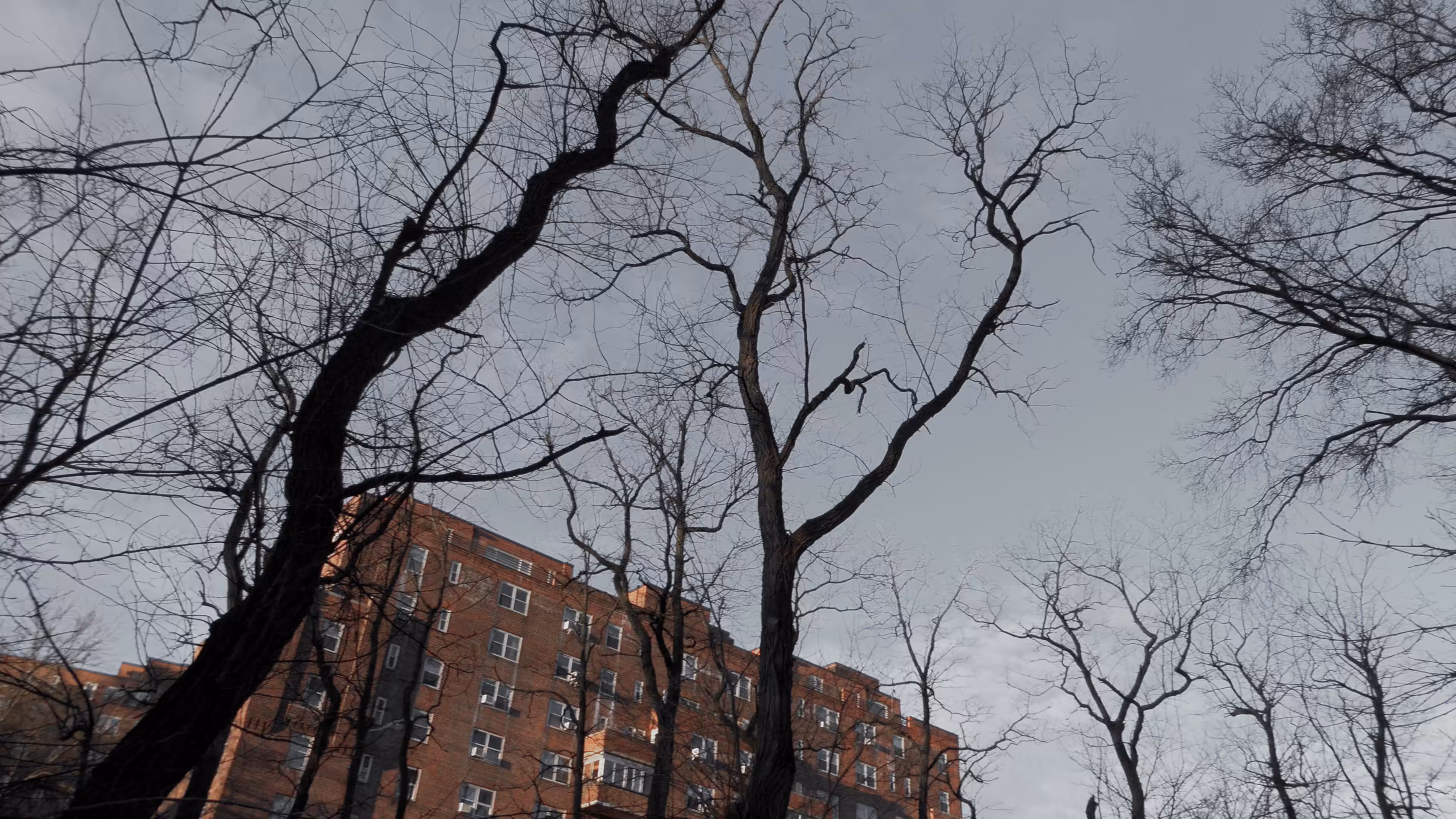 Building Capillaries