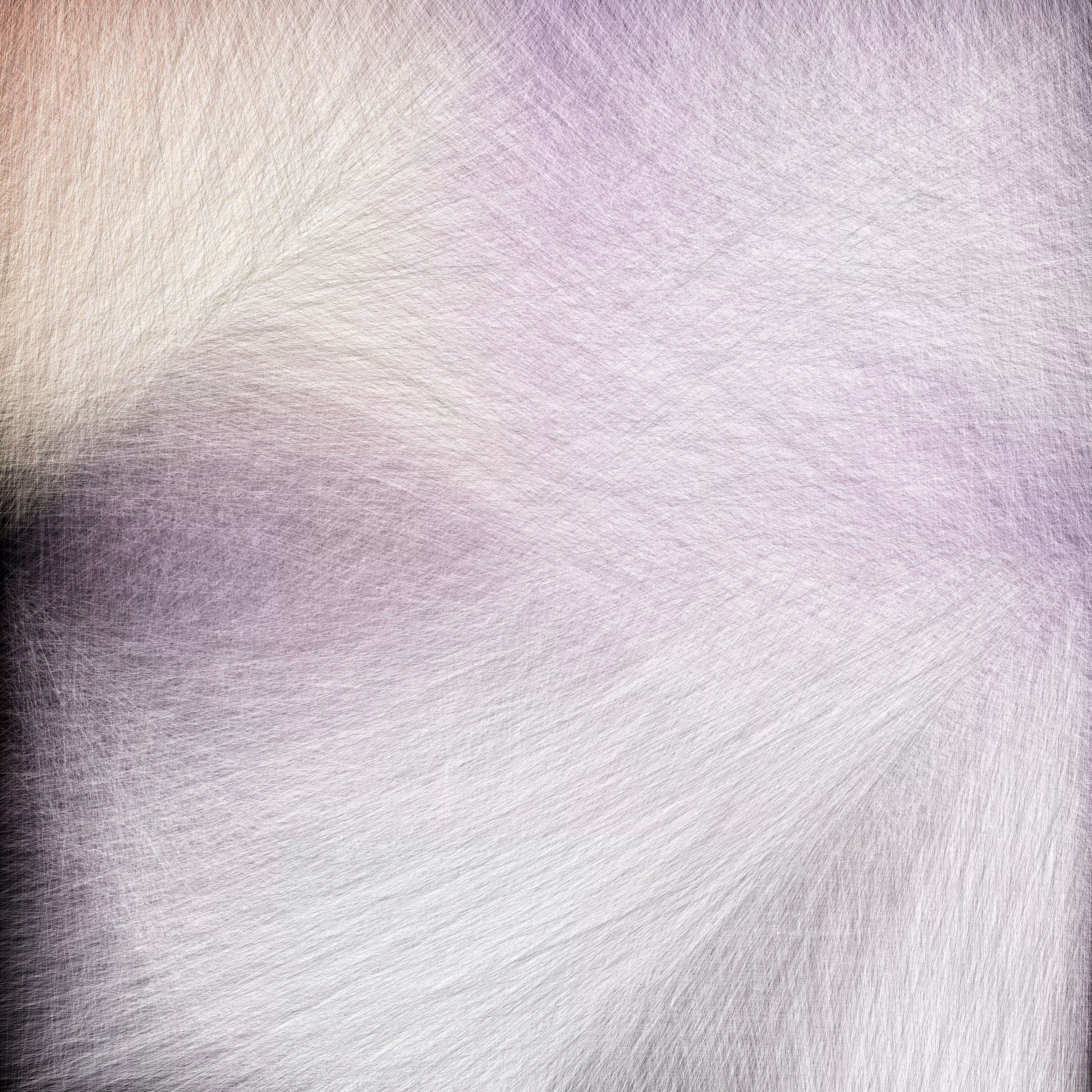 Ephemera White
