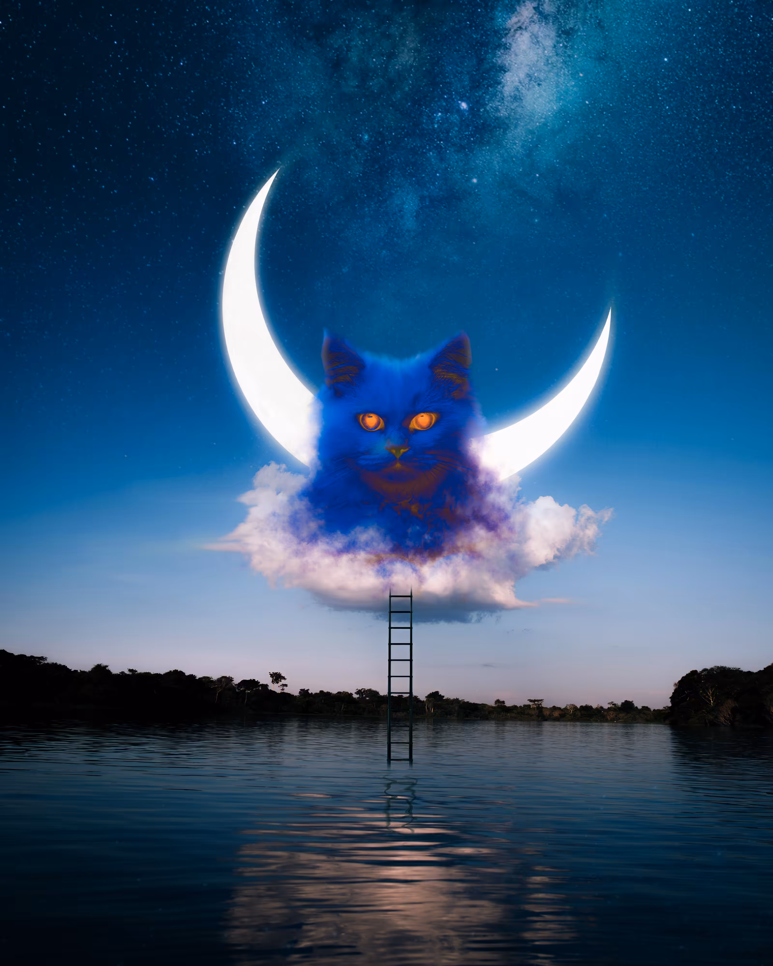 Blue Cat Moon