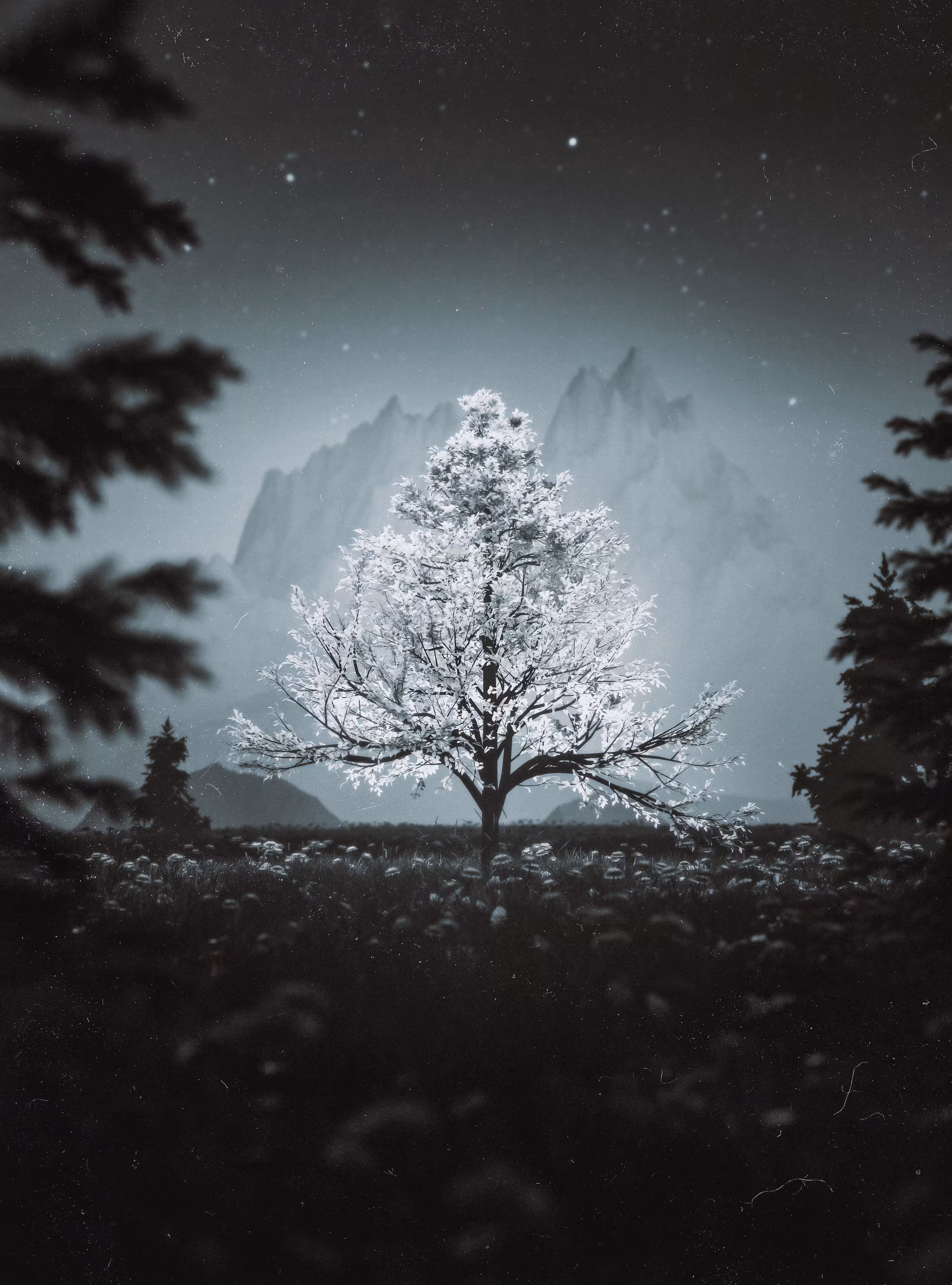 Tree #47