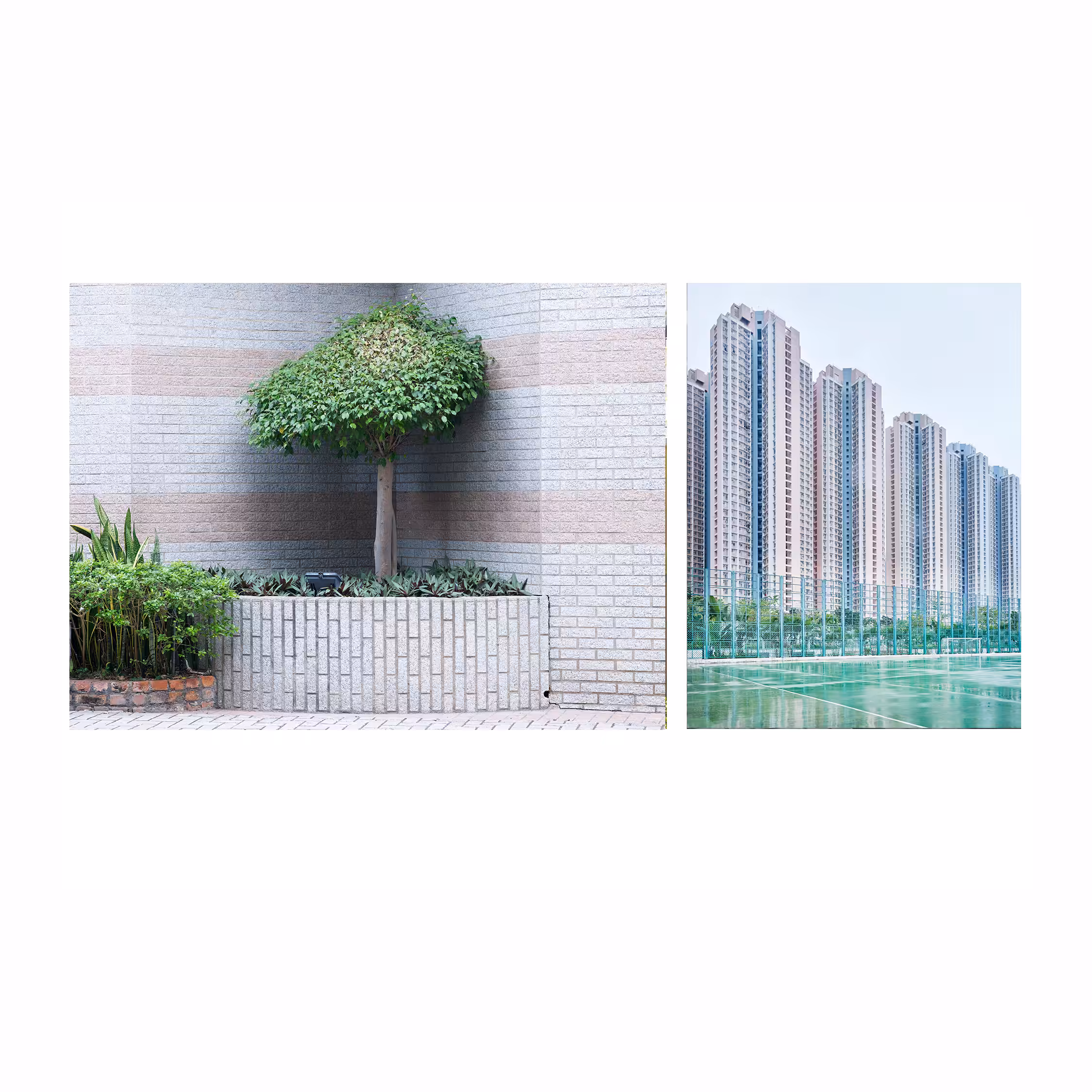 Hong Kong Stillness - diptych #6