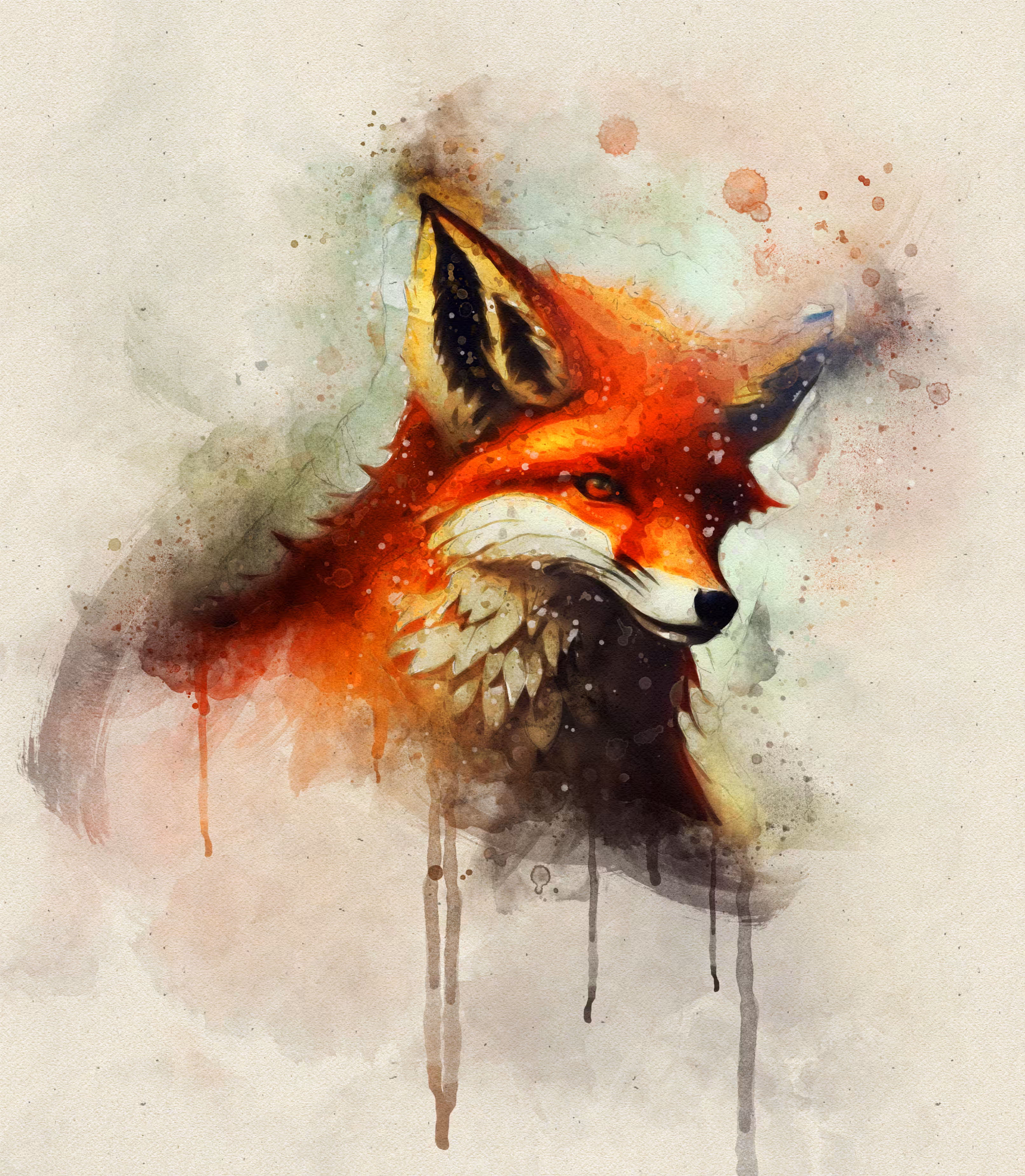 Fox