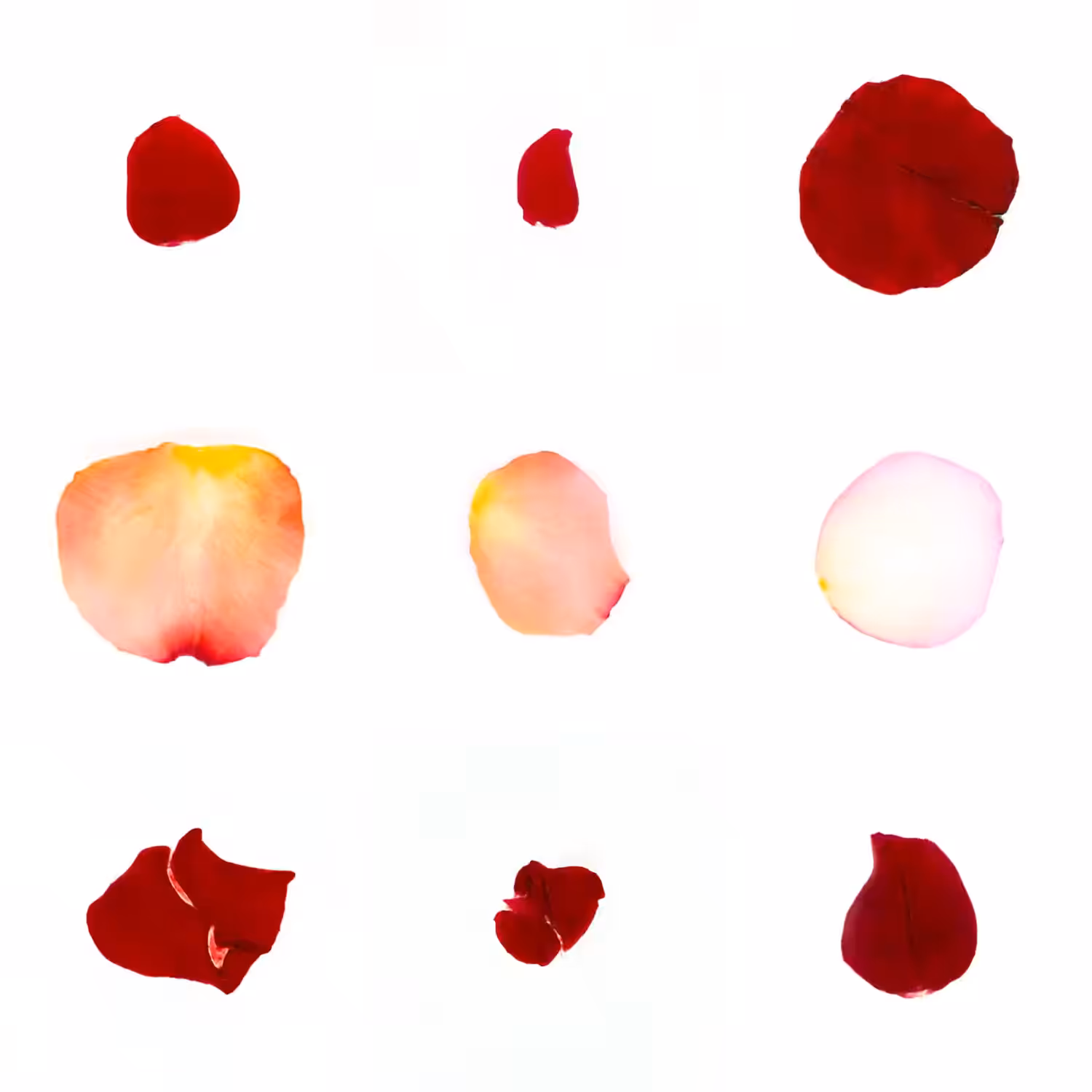 Infinite Petals 3x3#601