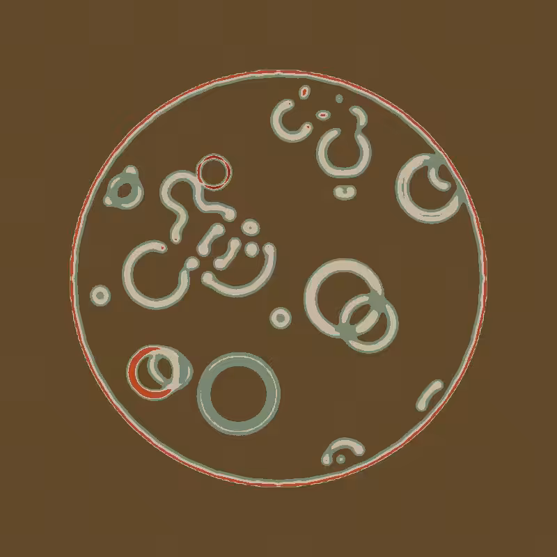 Cheap Petri Dish #60