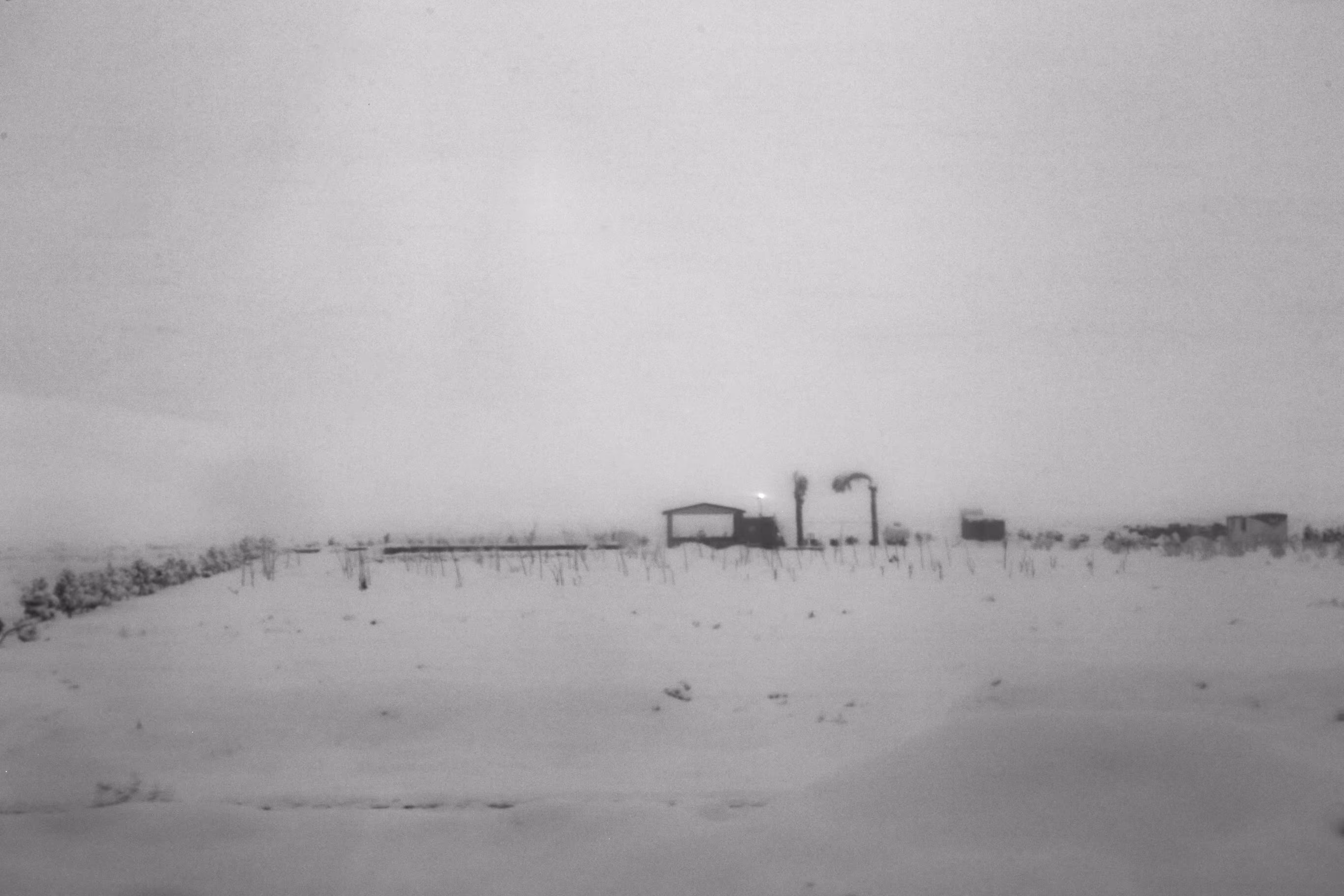 White Silence 
