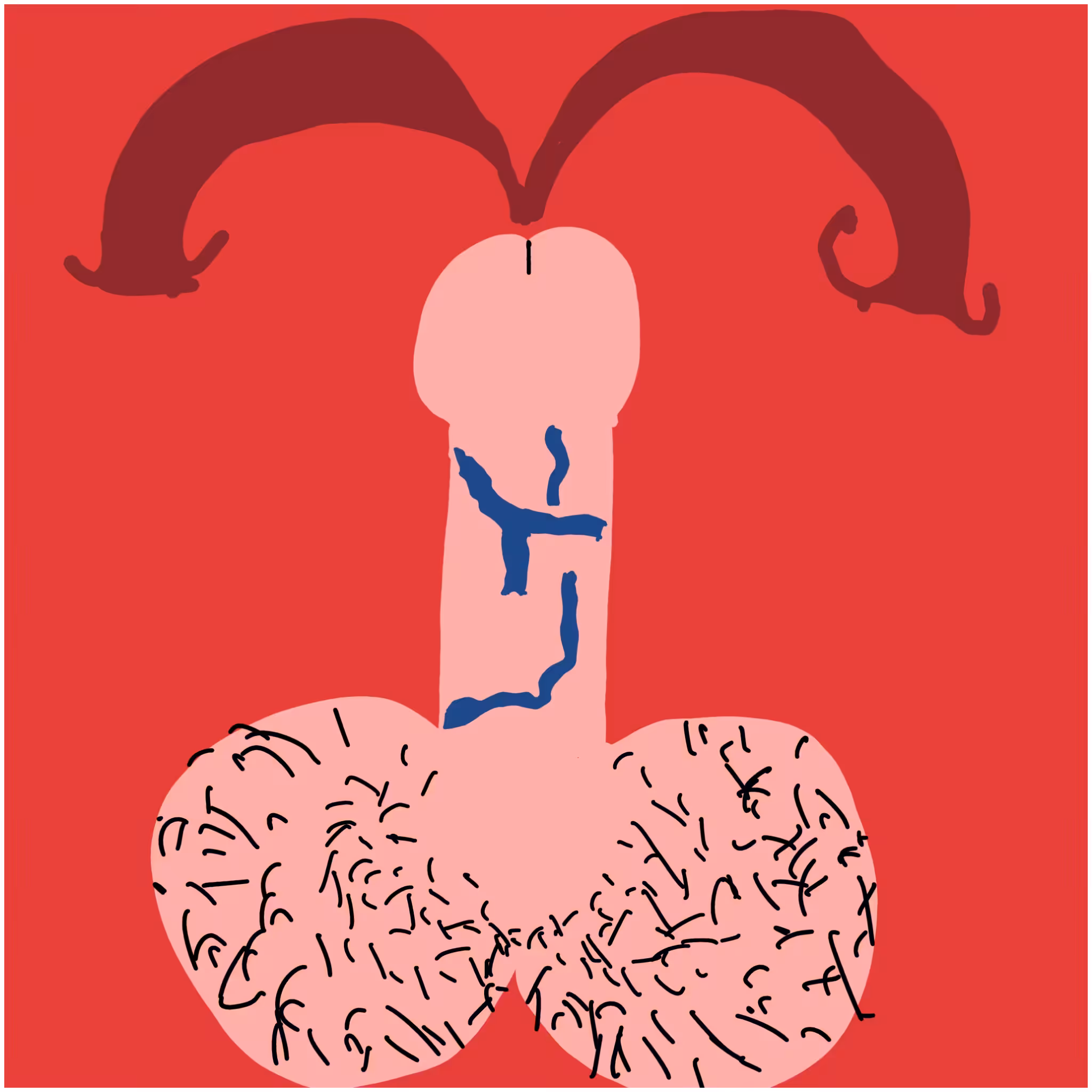 Dickgenerative Art #42