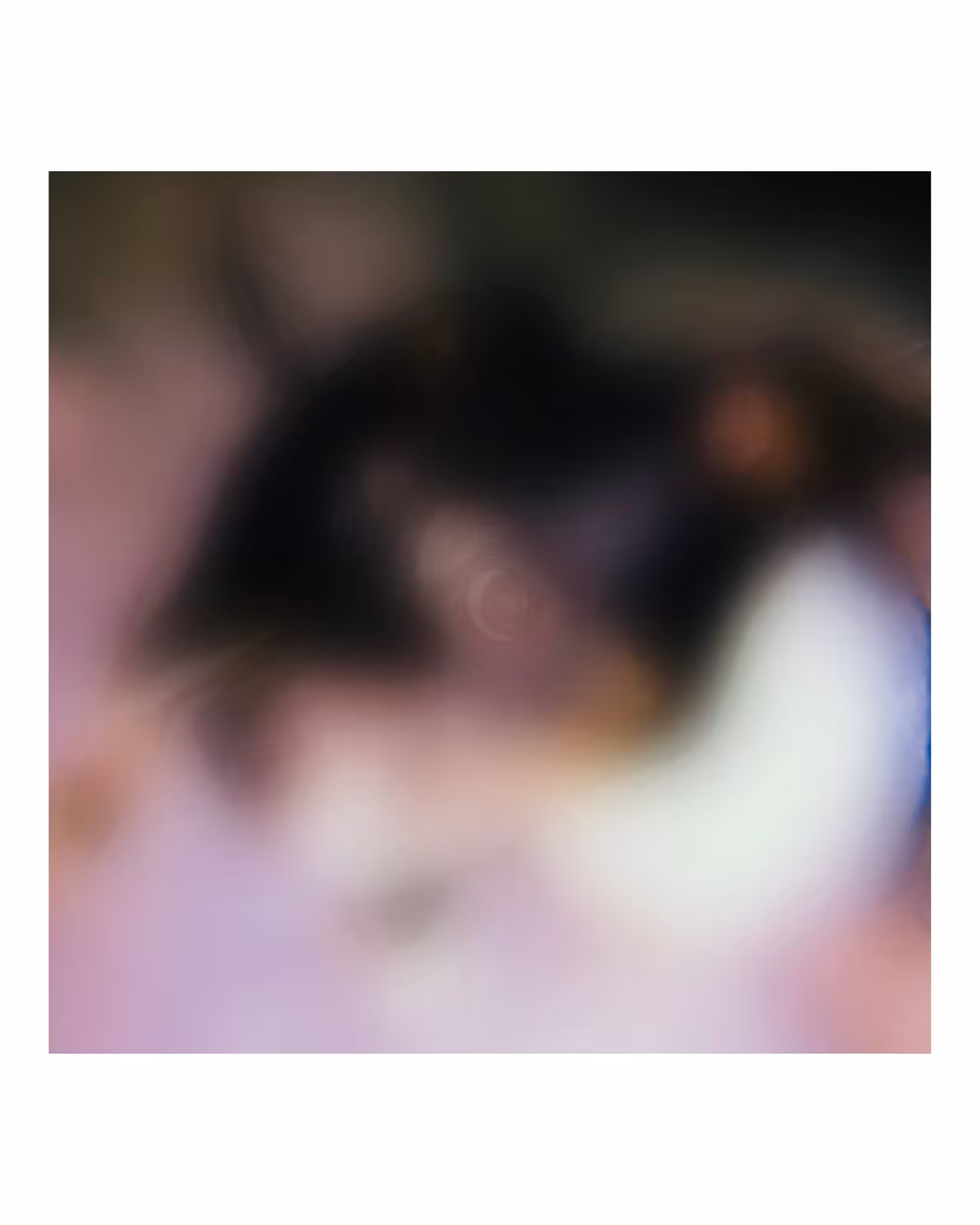 Focus #3