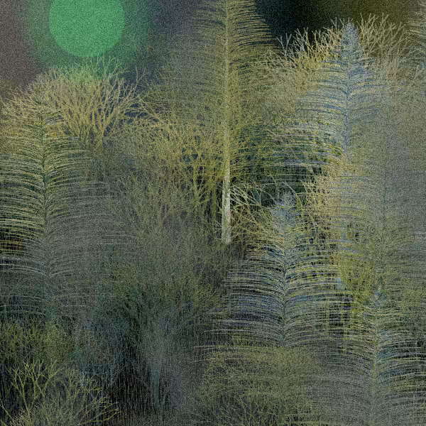 Moonlit Native Bush #23