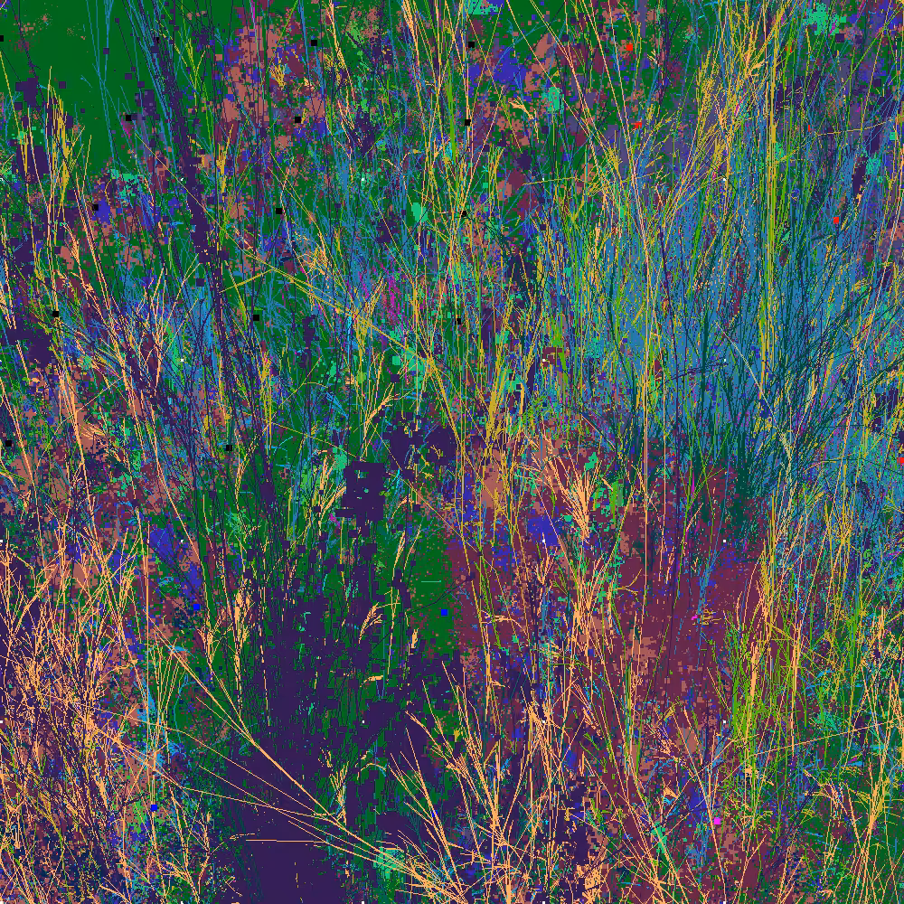 Infinite Garden: 212842 Flowers