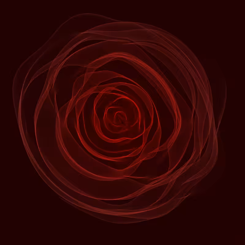 Roses #11