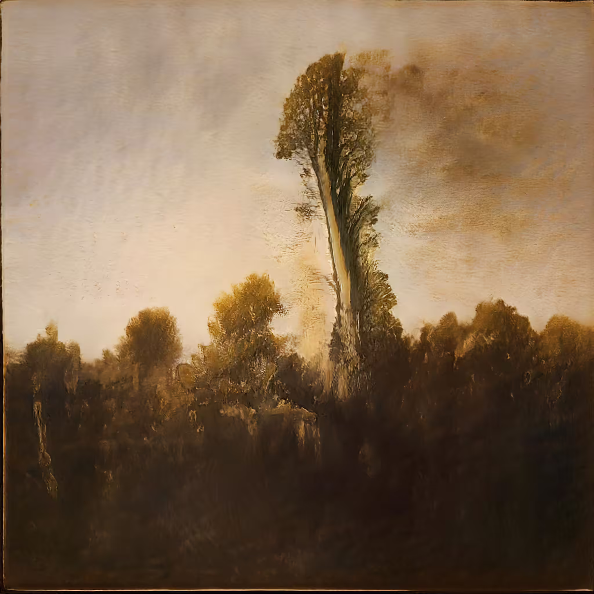 Burning trees
