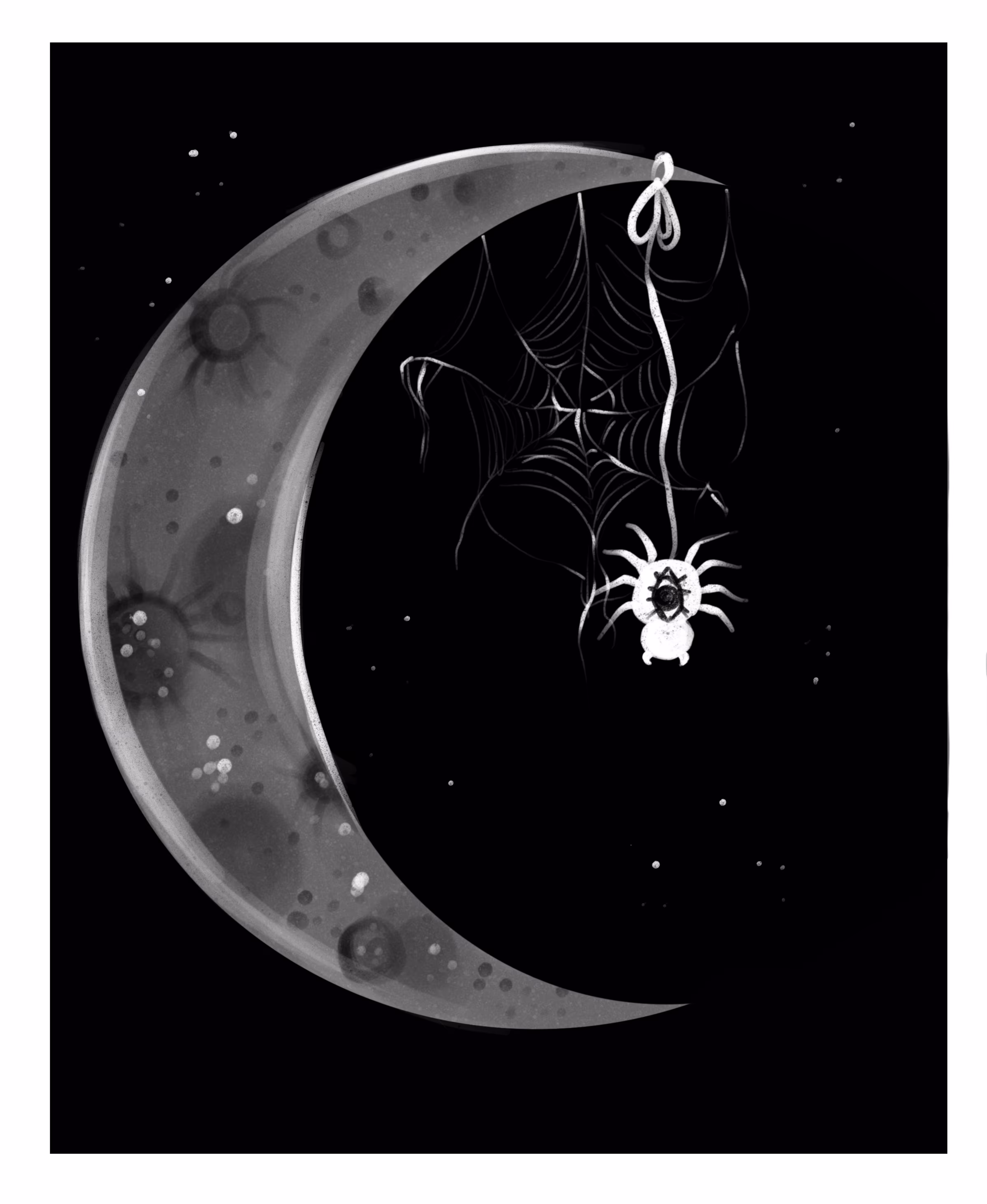 Spider