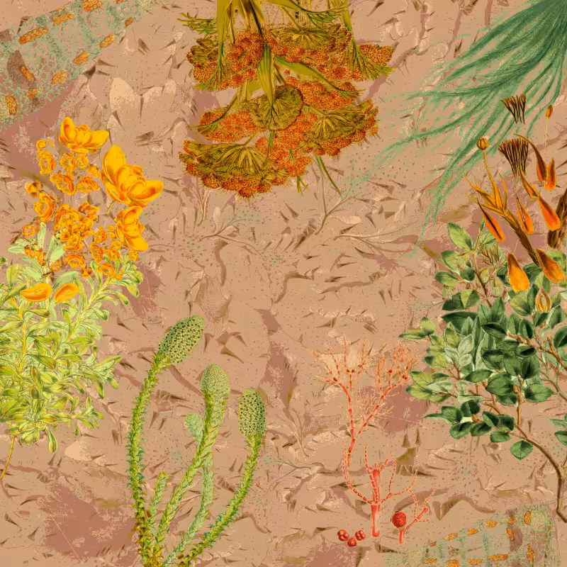 future flora from Antarctica's past #4