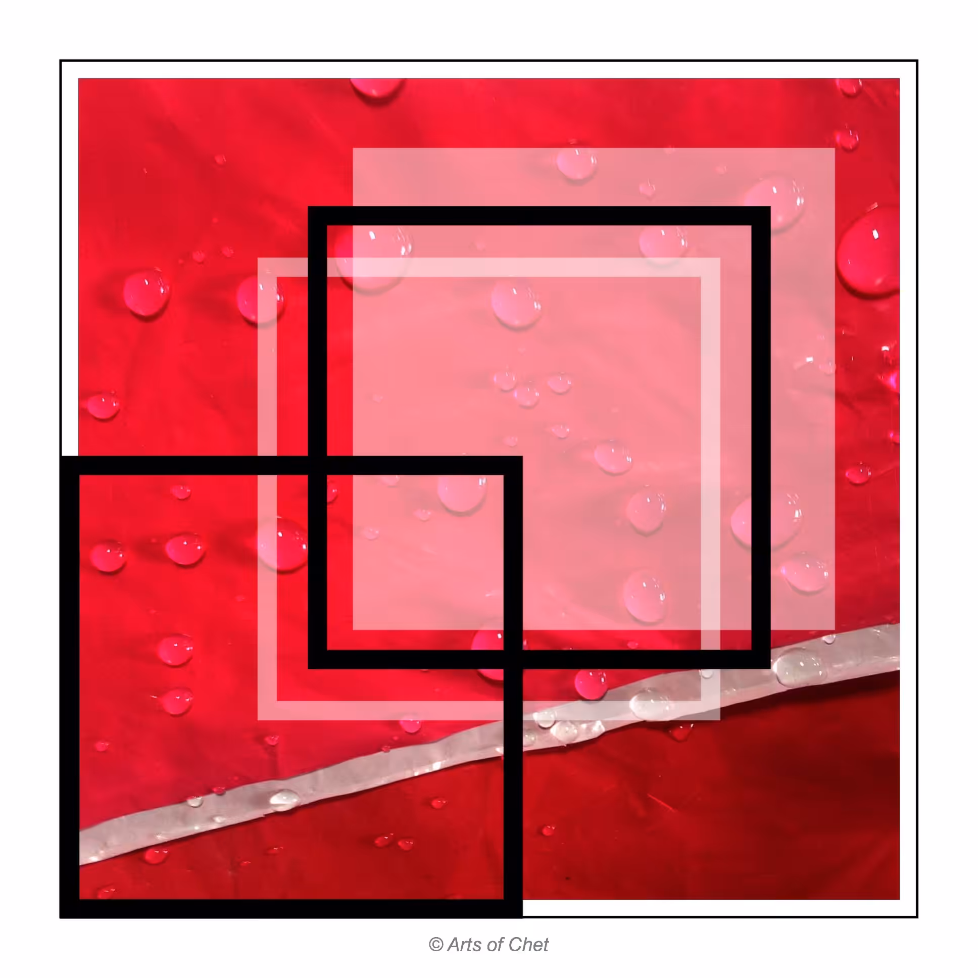 A New Media Arts of Chet 2019-2020 #53