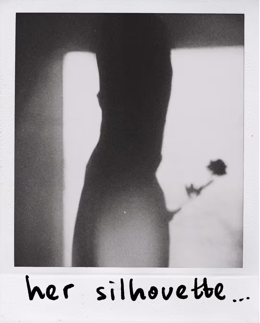 Polaroid 115