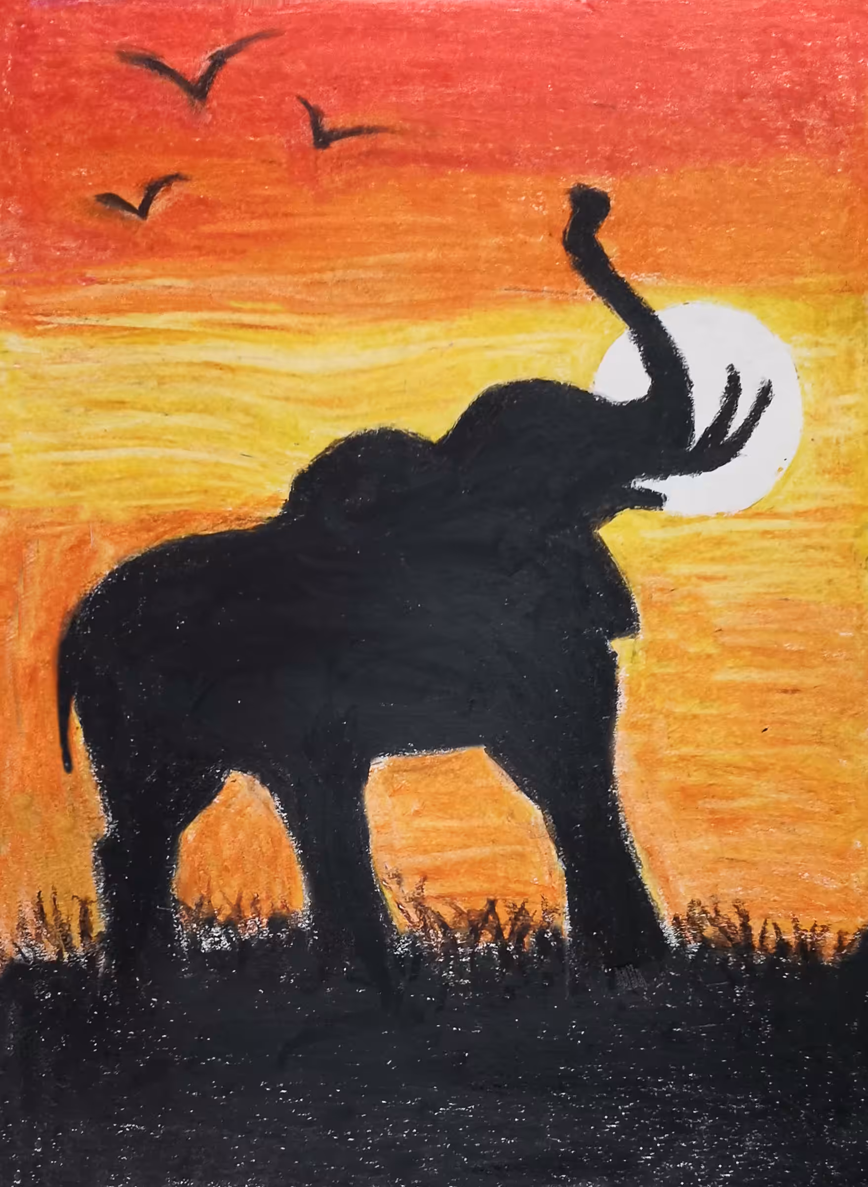 Elephant at sunset