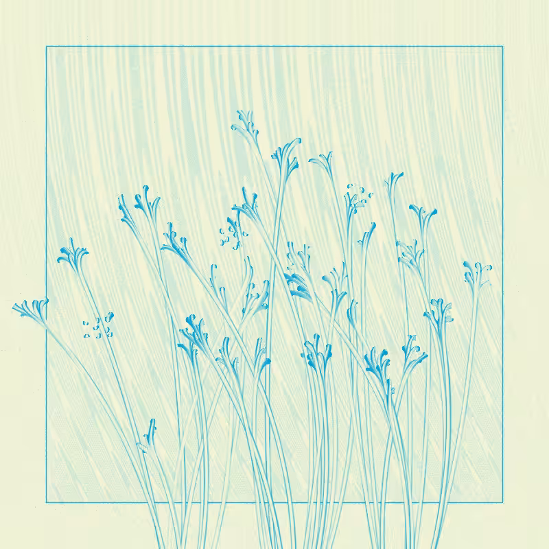 string_pllu #74
