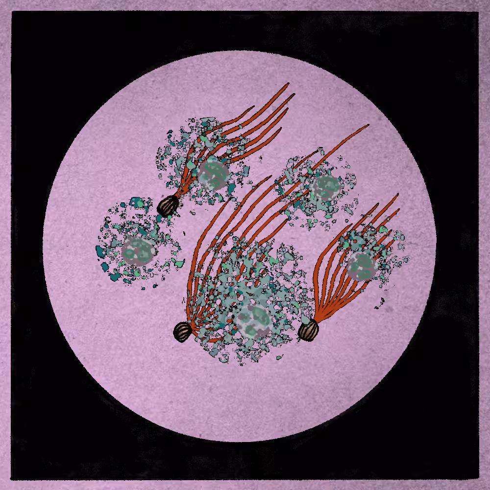 Microbes #218