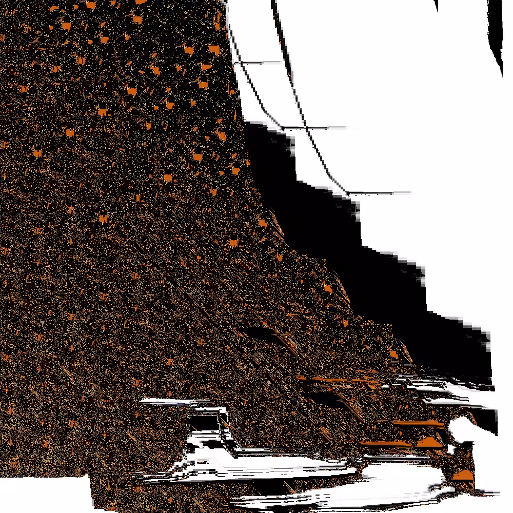 Destruction of a Quail 09 - Detail 9