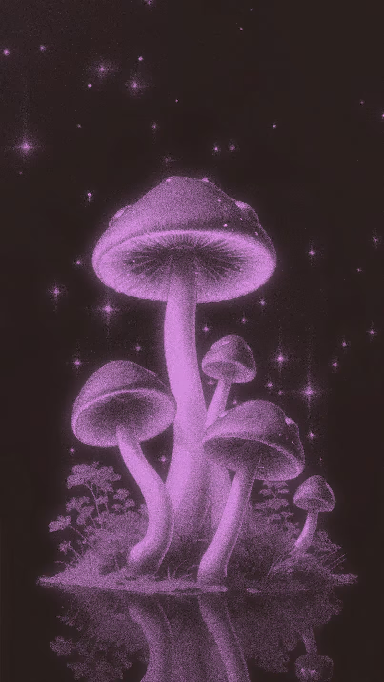 Twinkle, Twinkle, Little Spore