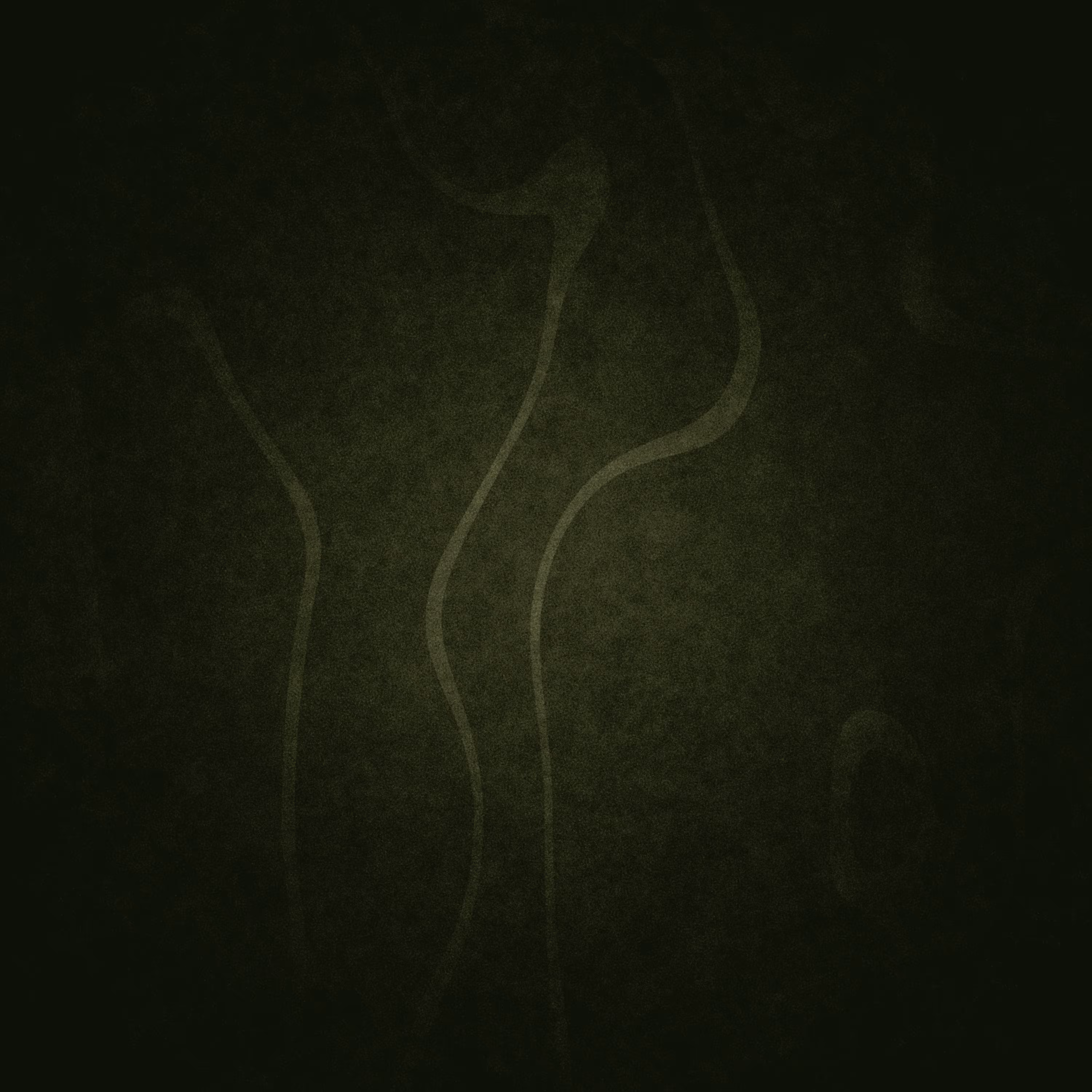 Beyond Dichotomy  #66