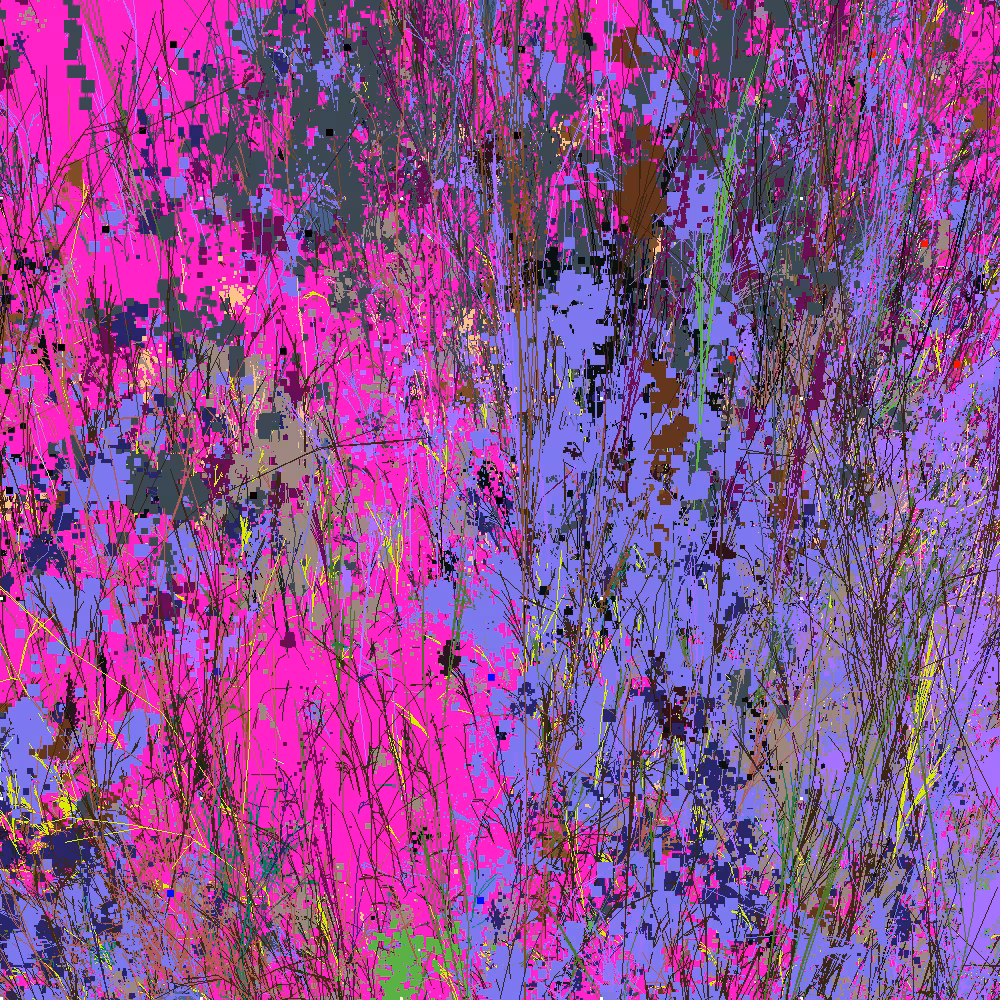 Infinite Garden: 67091 Flowers