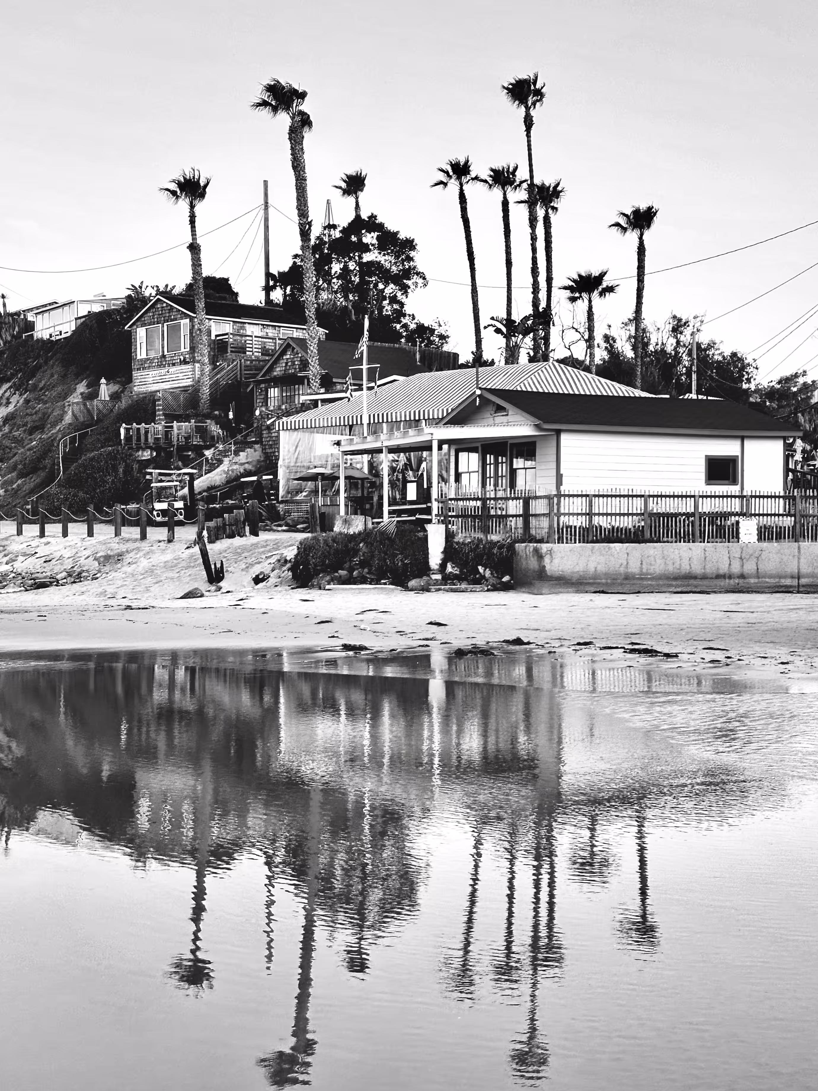 The Place that Raised Me