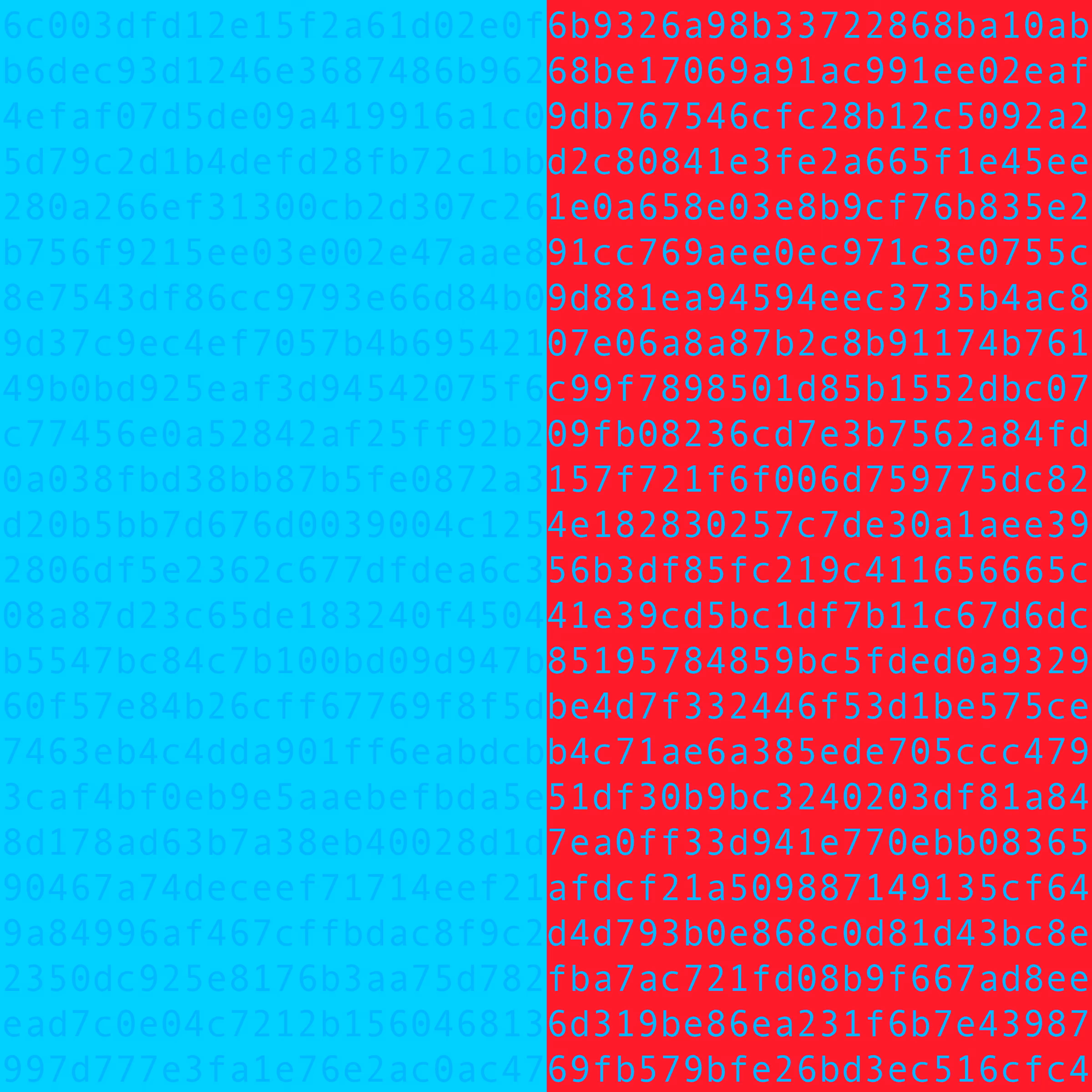 1111 #0191