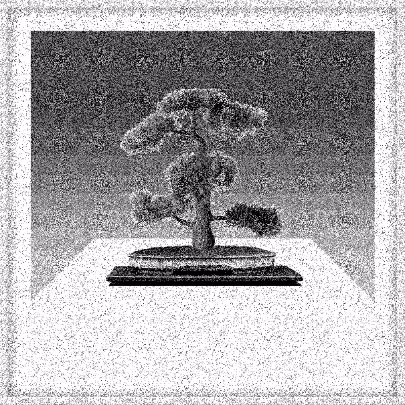 Bonsai Bonanza #527