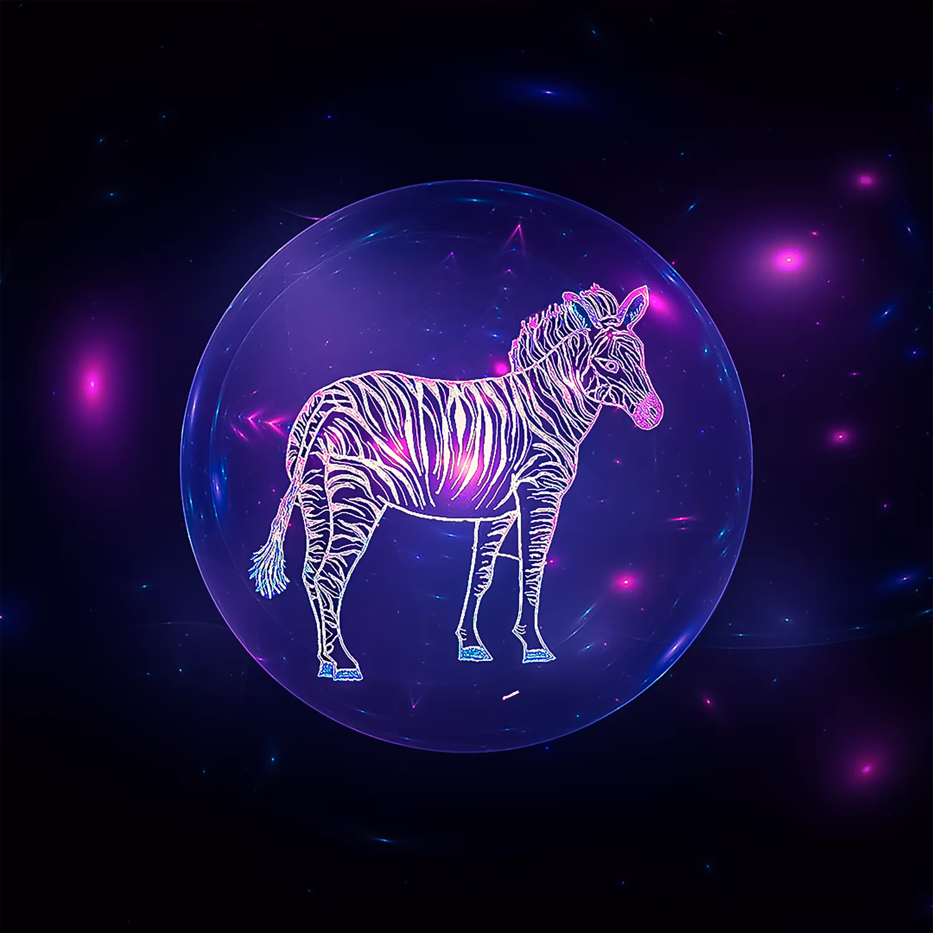 The Zebra 