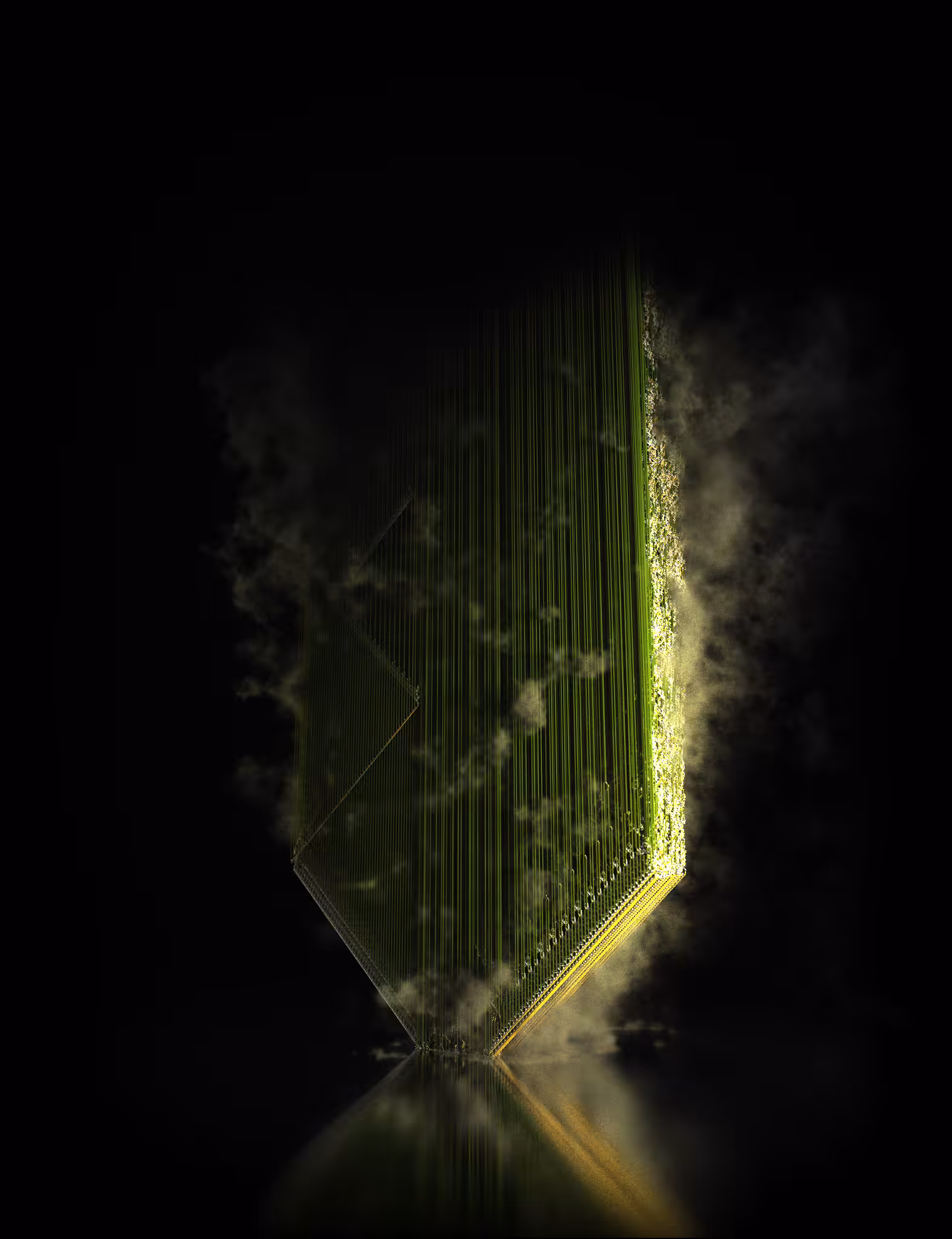 Chrysalis #104