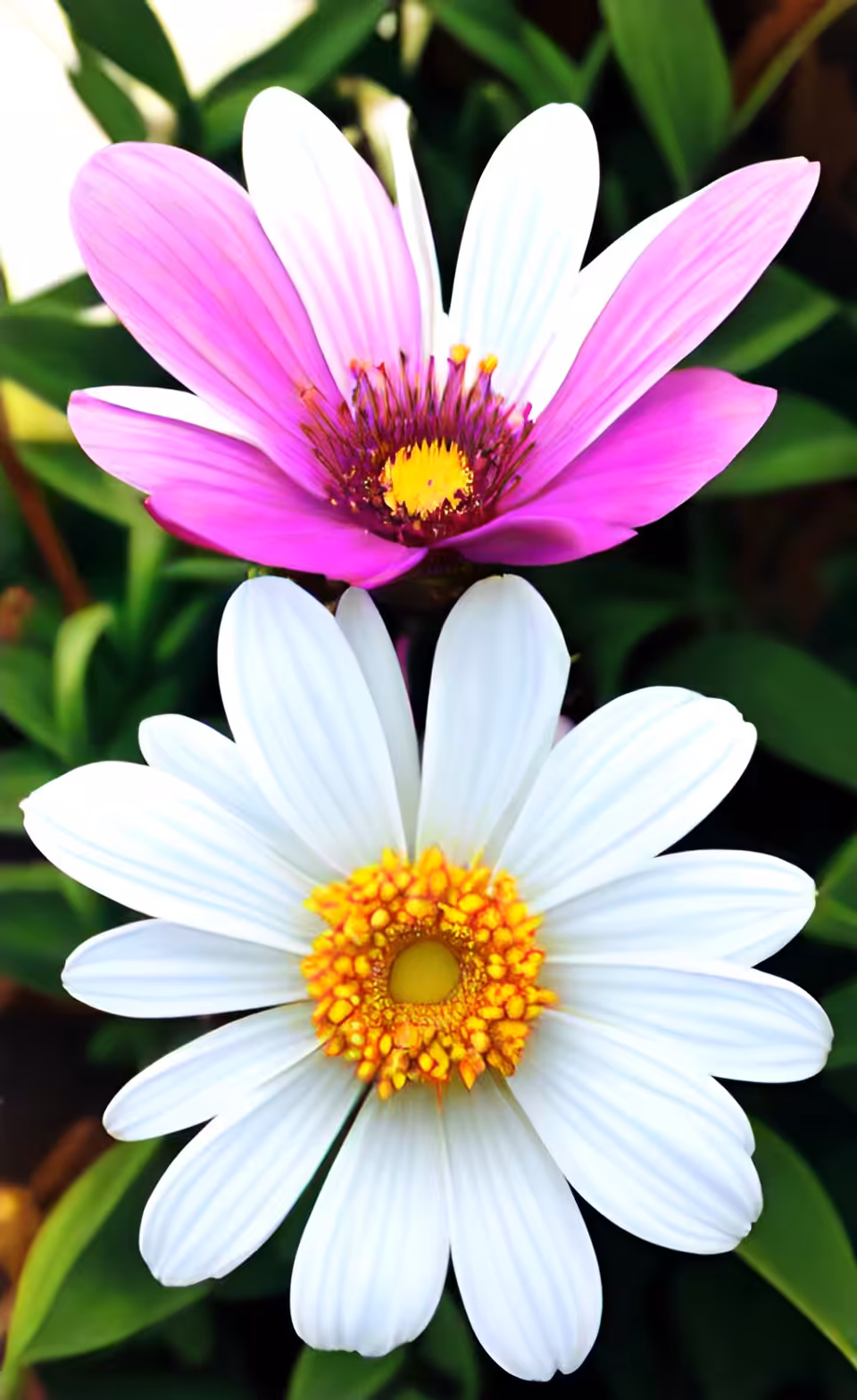 FLOWERS -AI #4