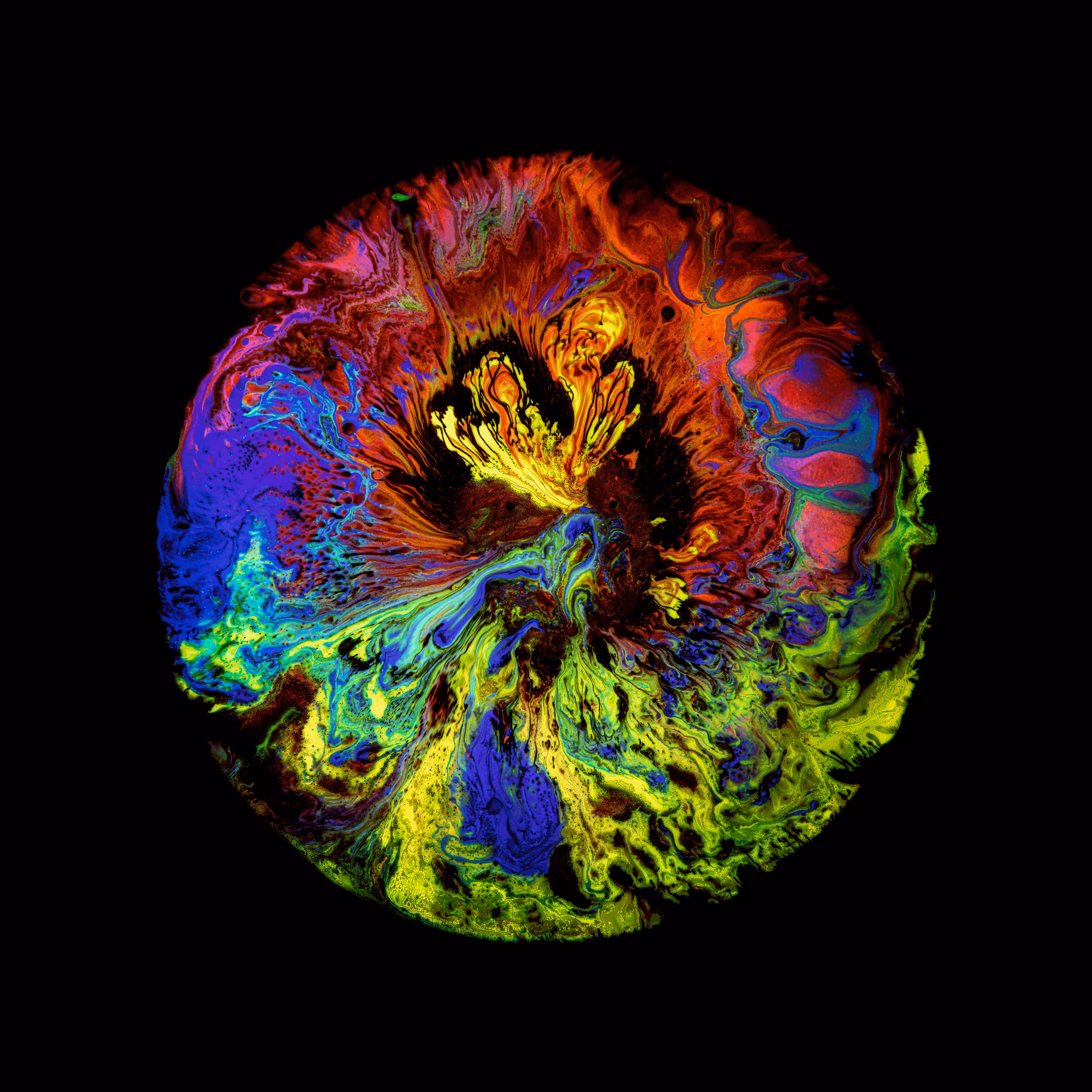Haematopoiesis #280