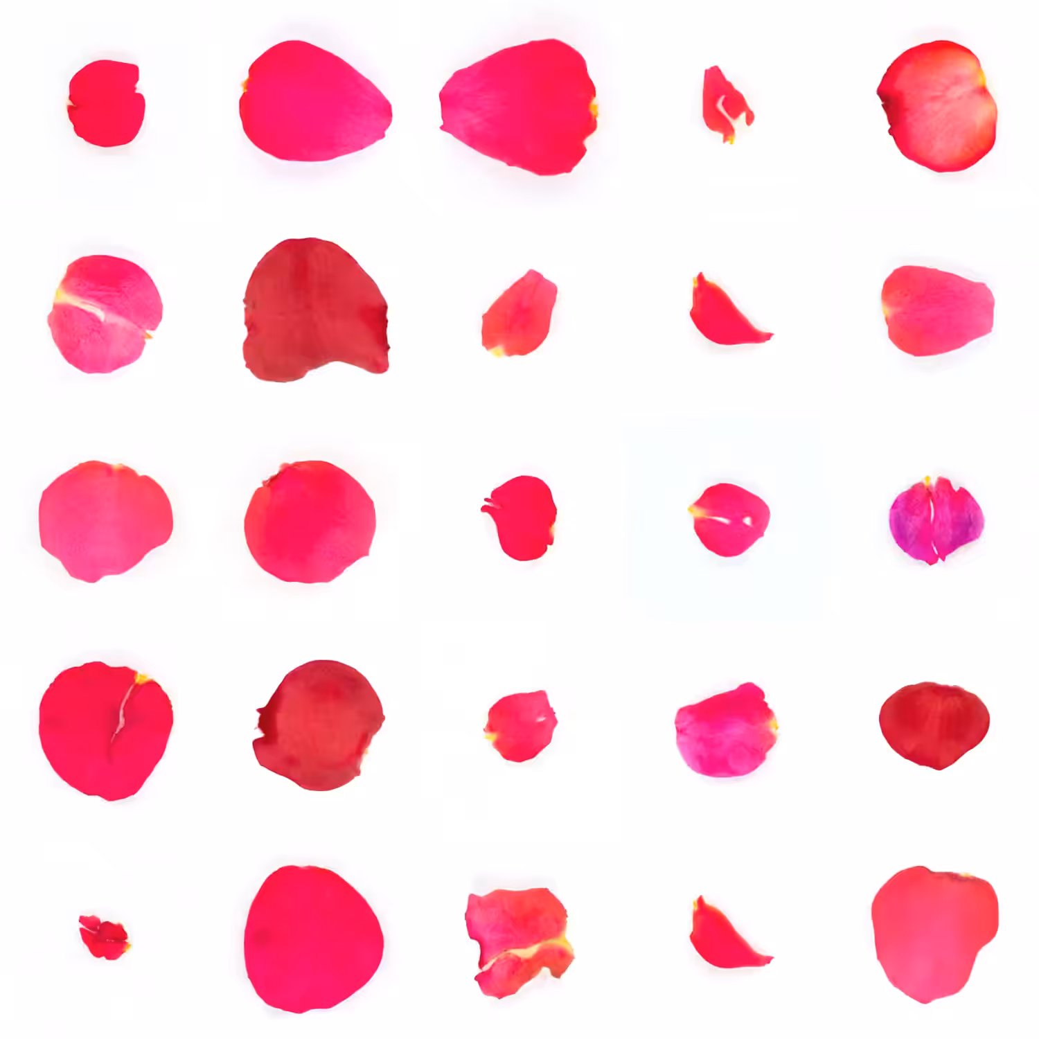 Infinite Petals 5x5#4210