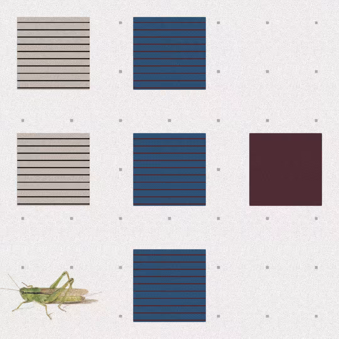 Grasshopper #38