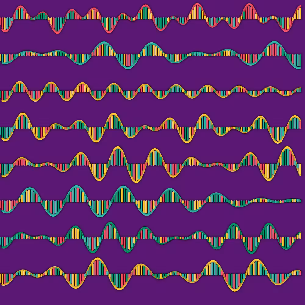 FourierSeries#05