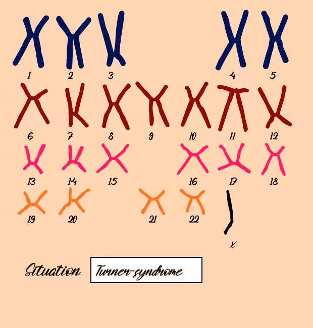 "Karyotype" #7