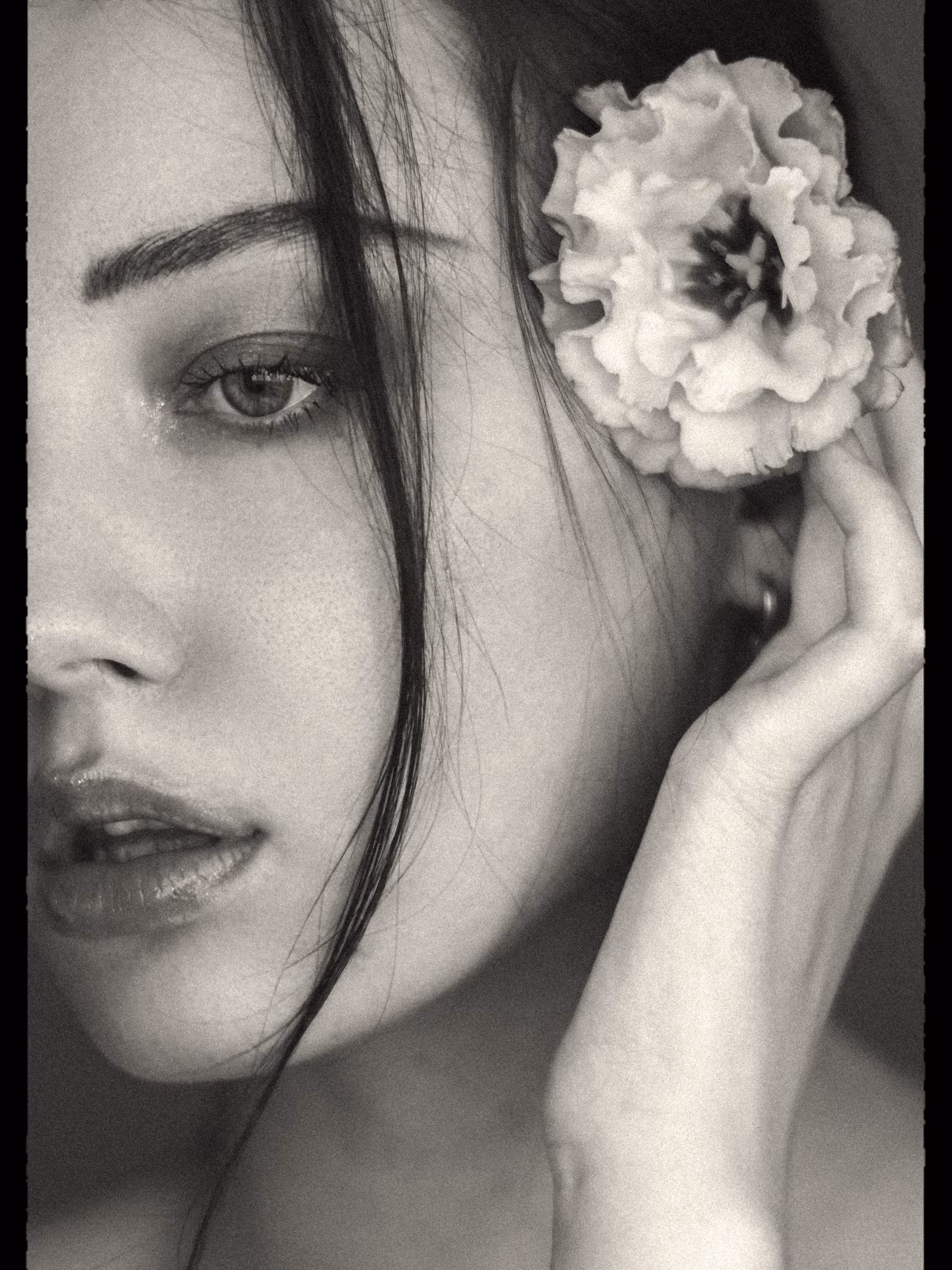 Petal of an Unspoken Soul