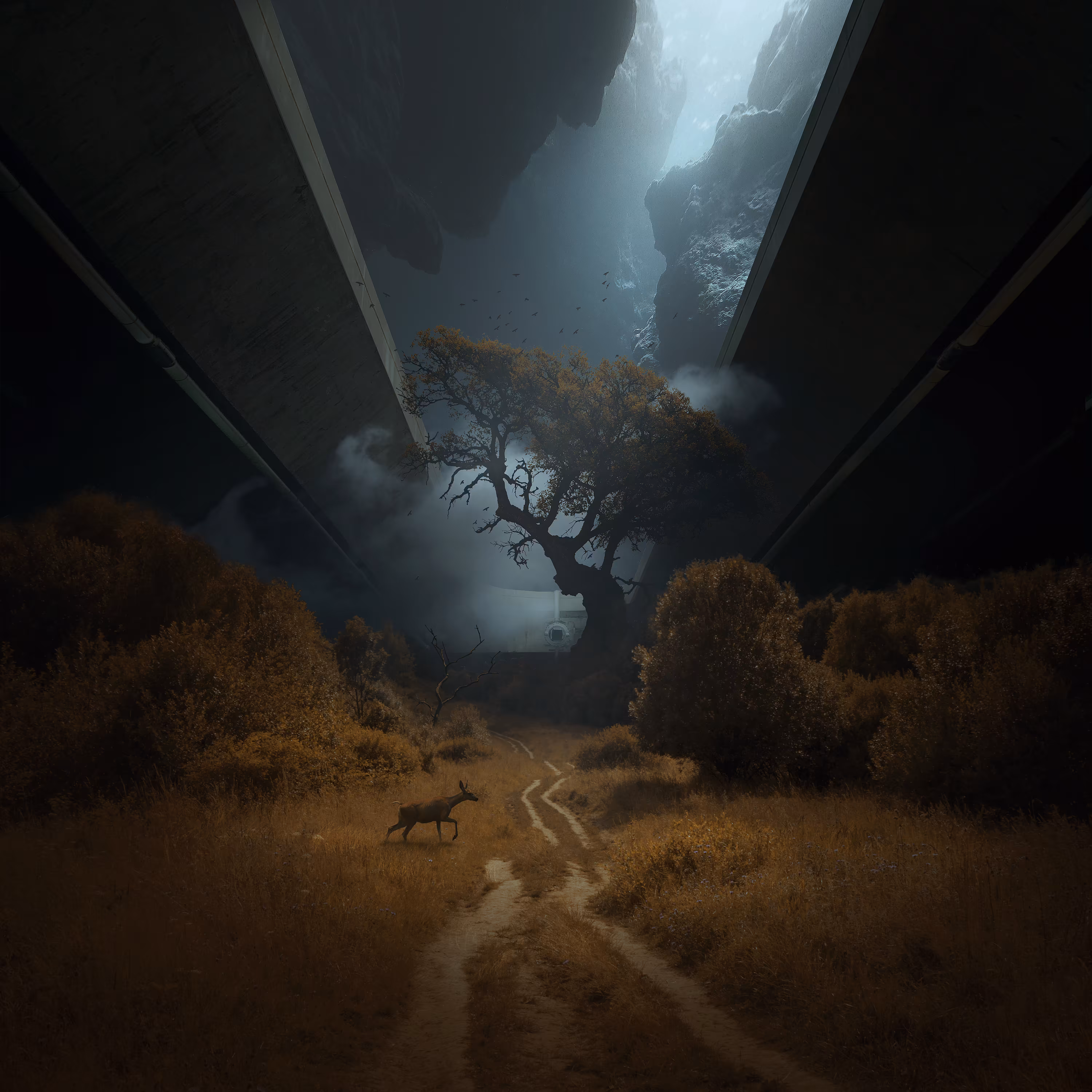 Hidden Path