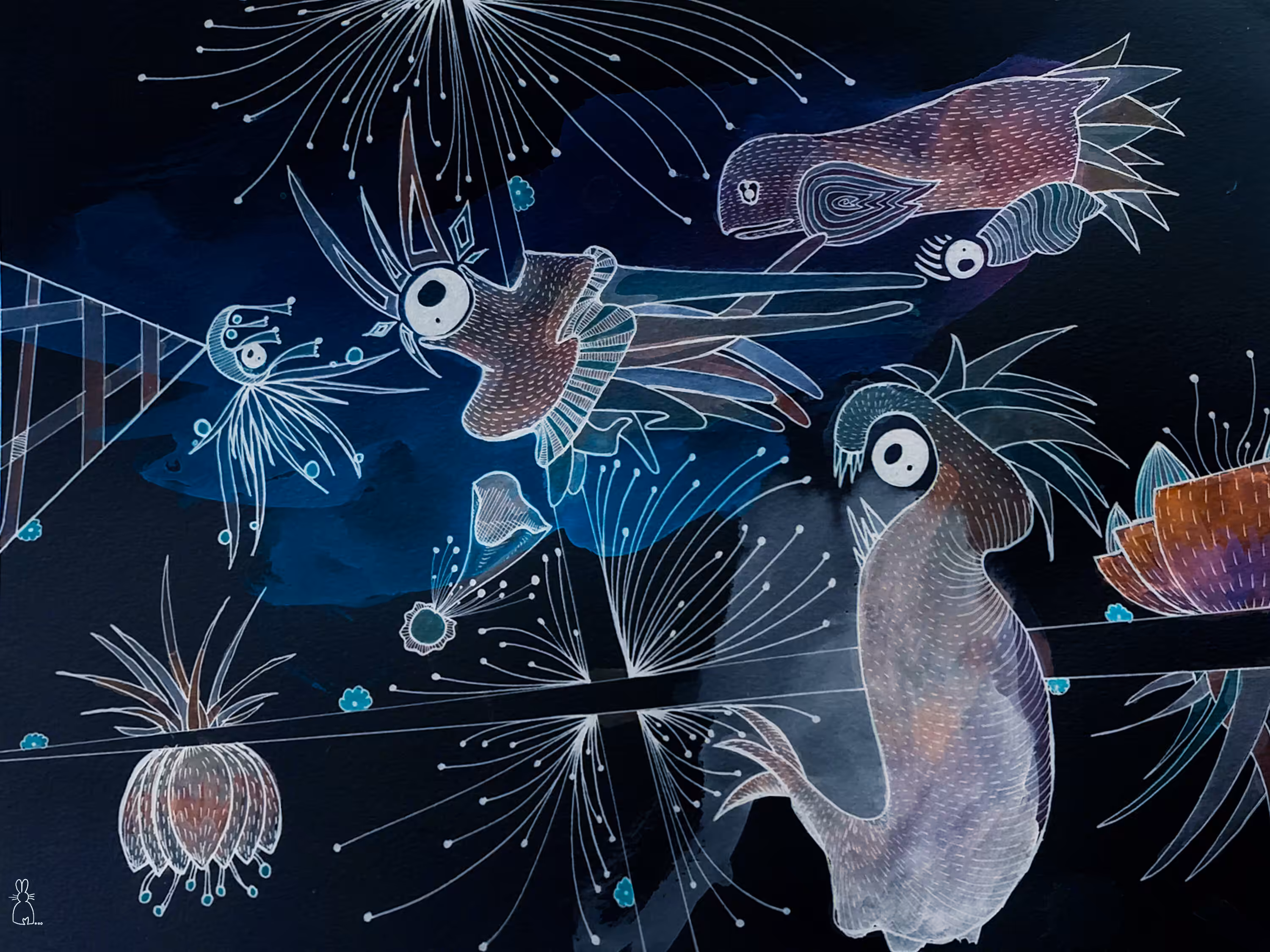 AquaBizarre #16 - Sea Jelly