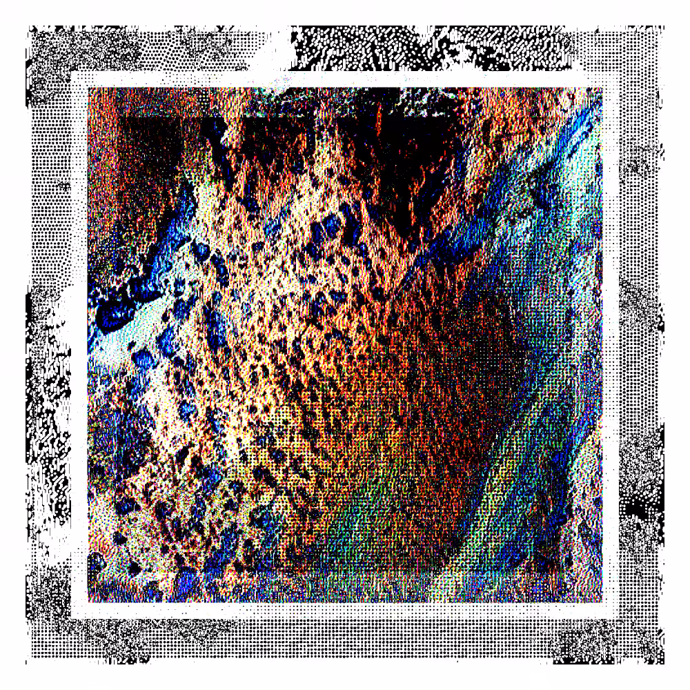 CHX-1 #28