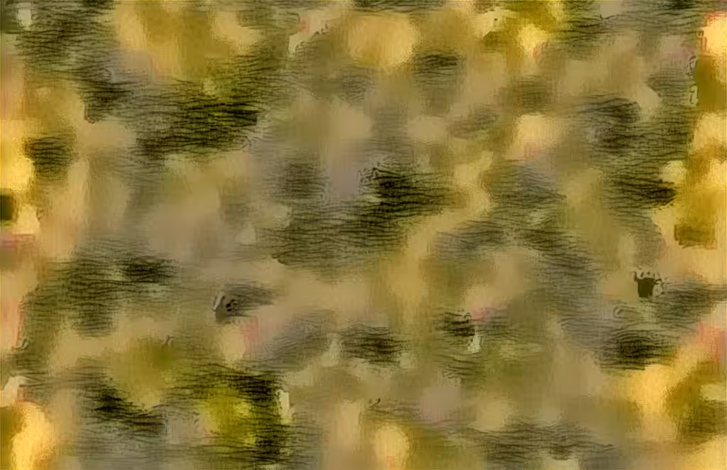 Untitled Collection #27749142: water albumn