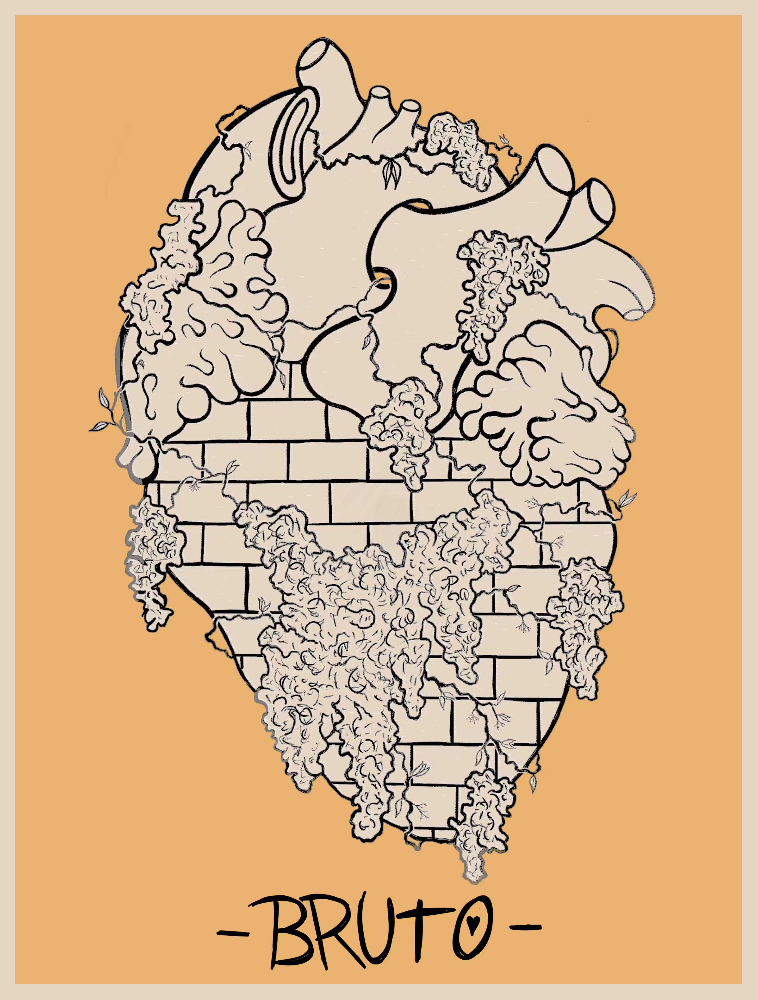 -BRUTO-