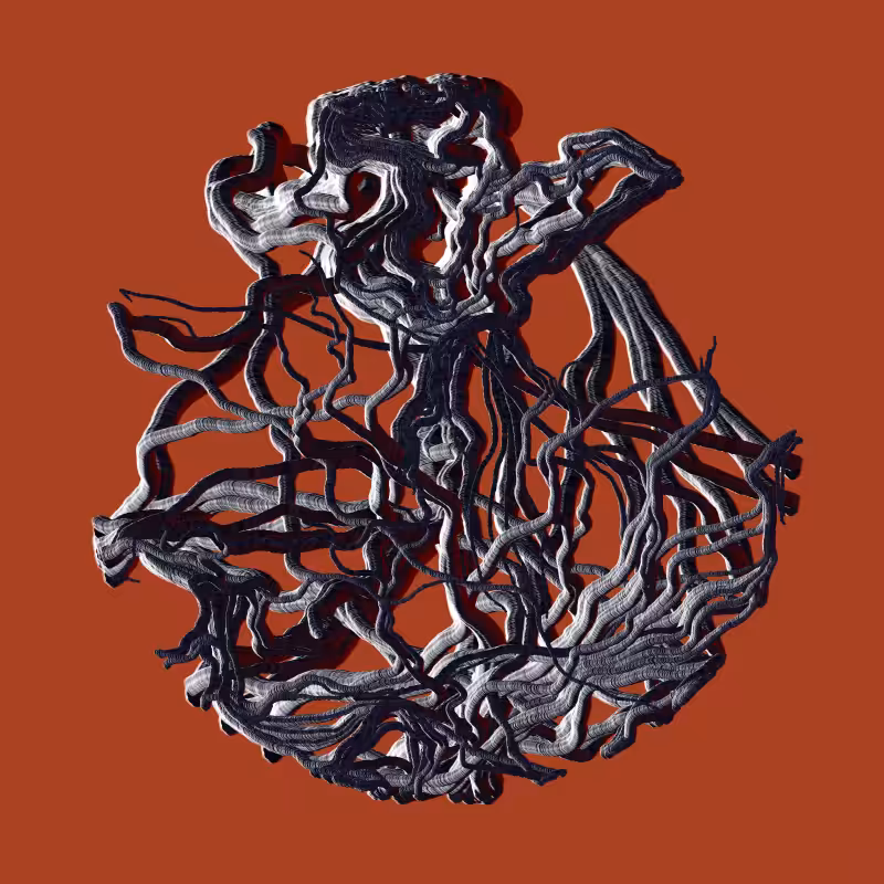 Root #79