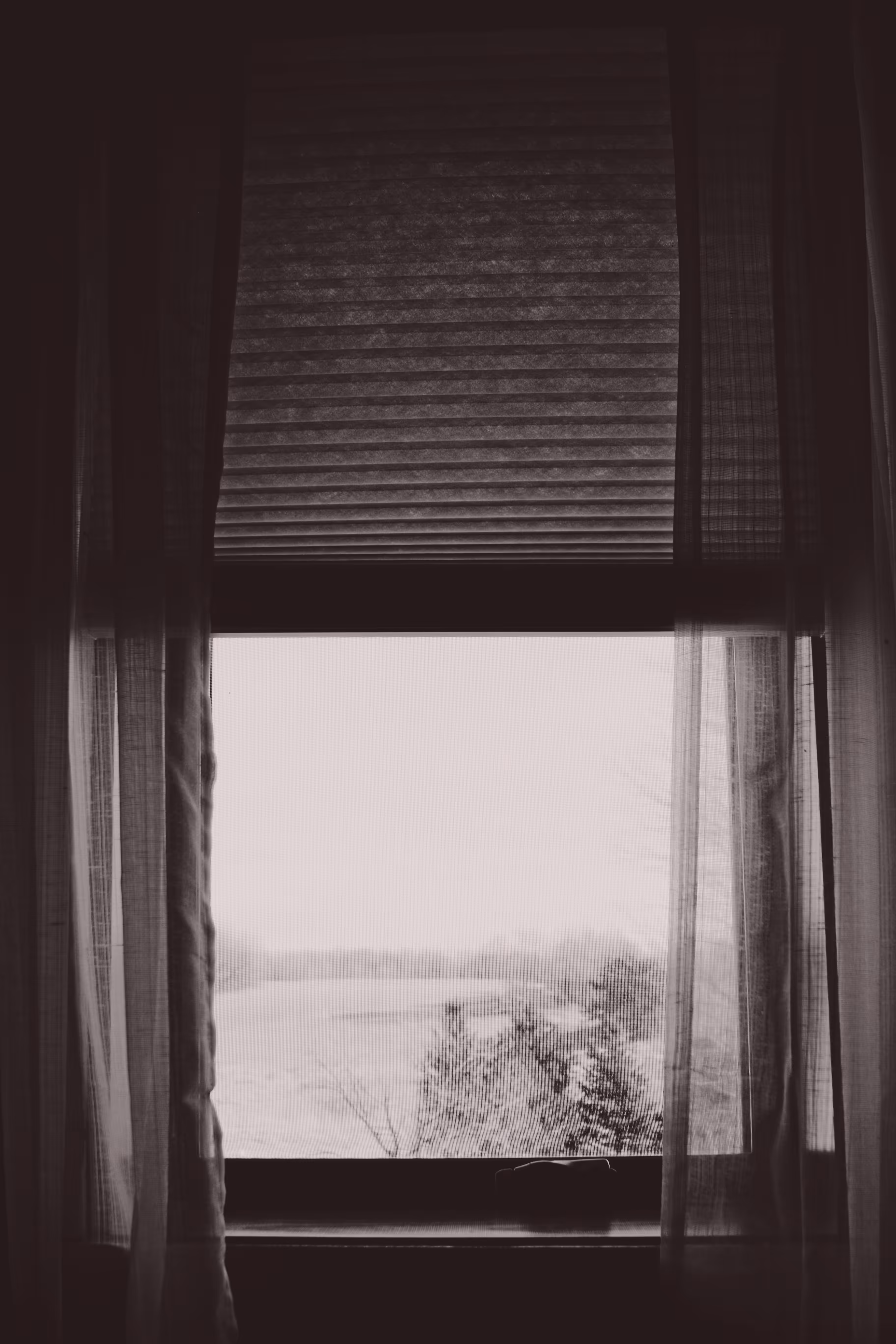 _windows