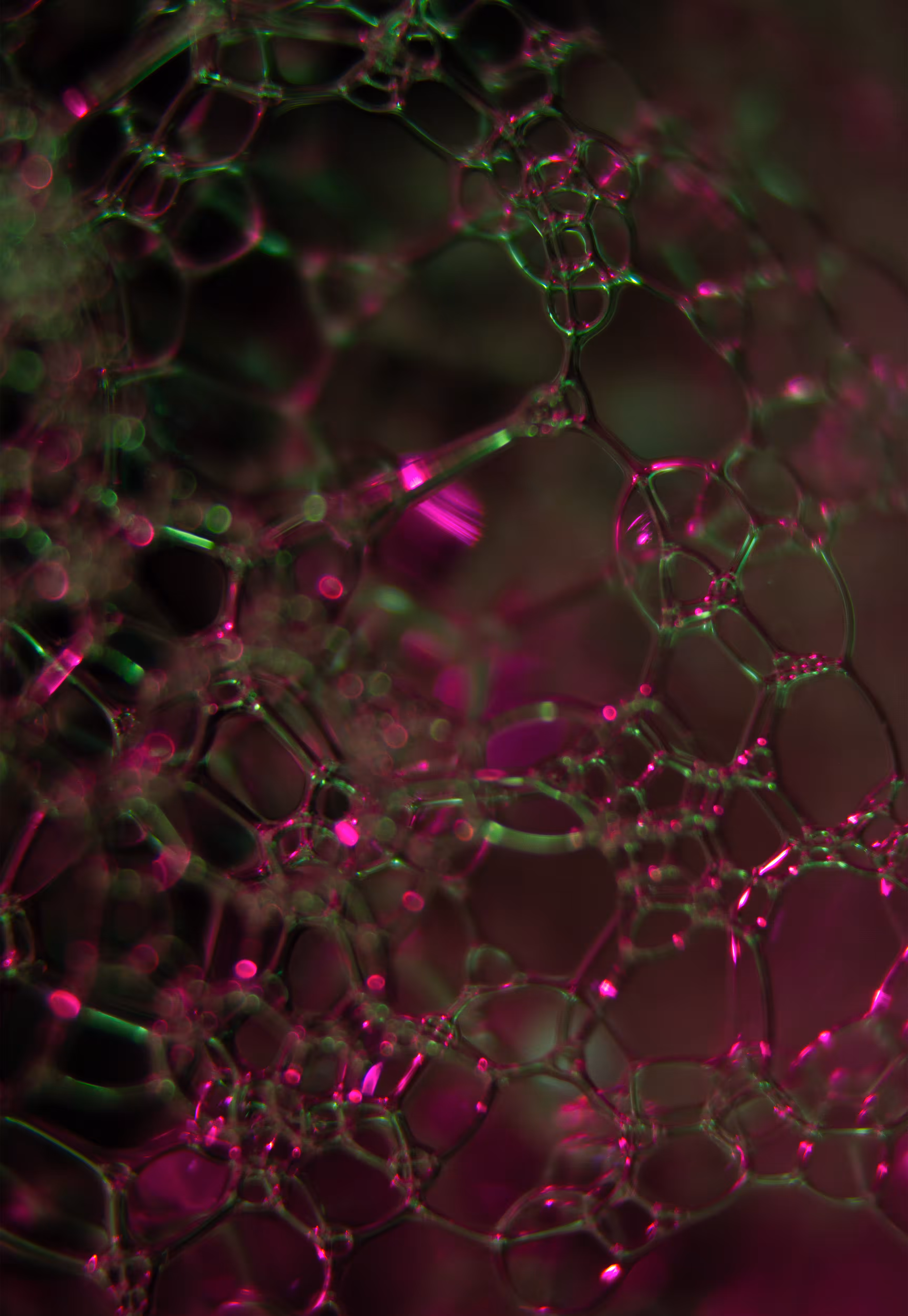 Abstract World of Soap Bubbles: #30 Bubbles