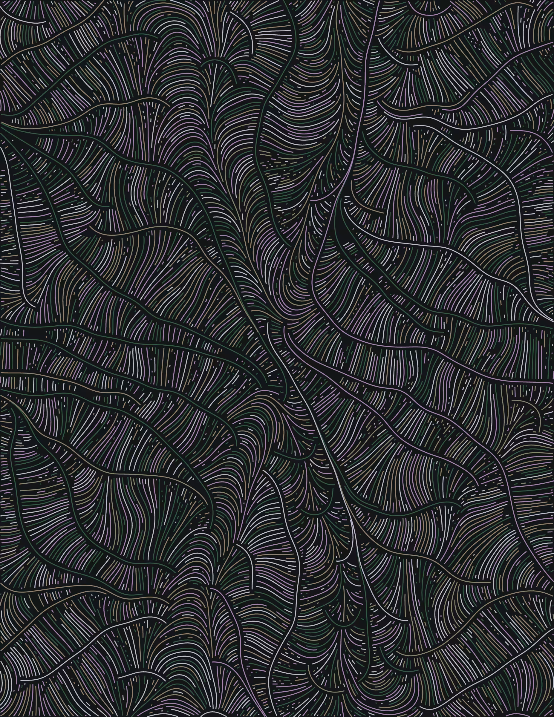 Streamlines #483
