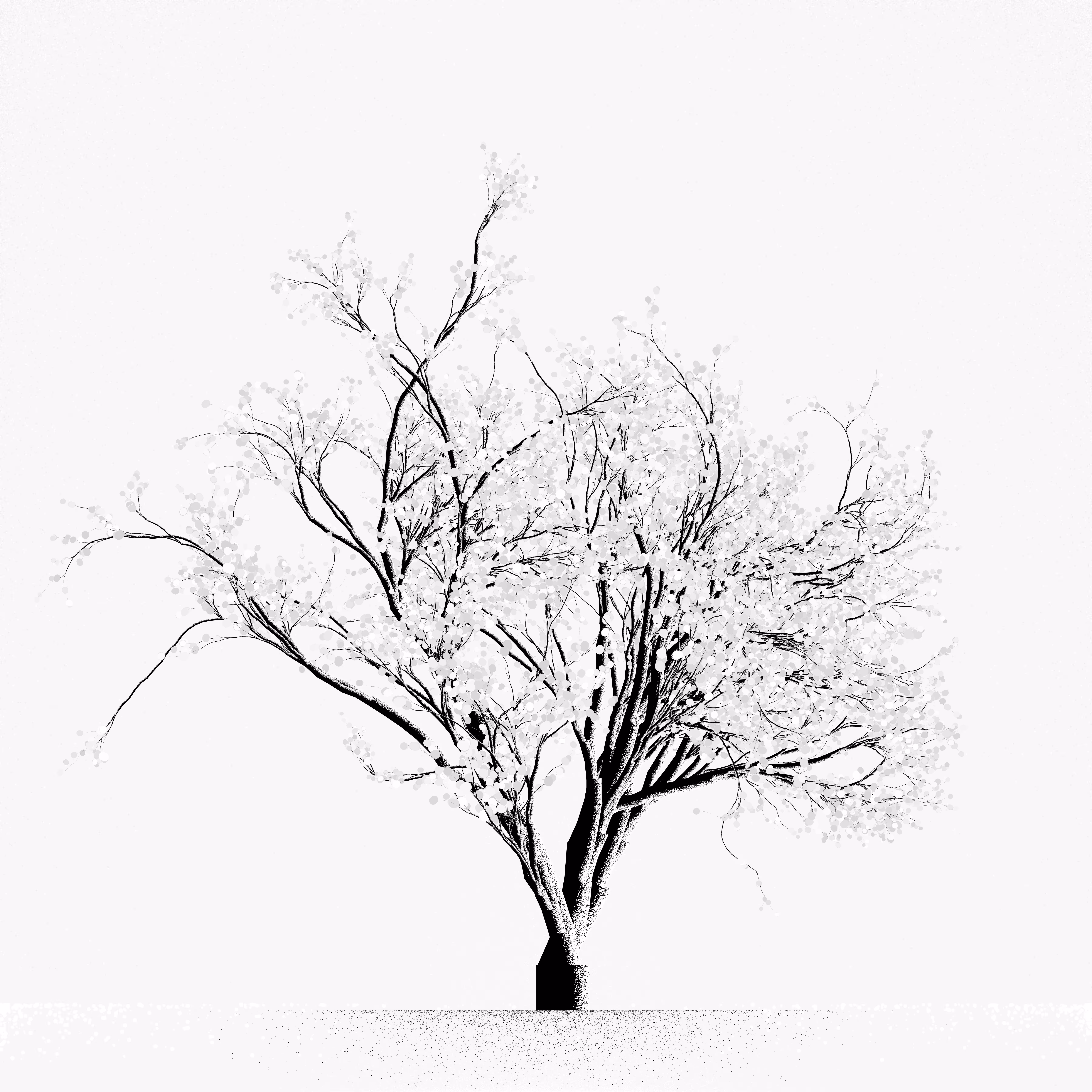 Snow Tree #21