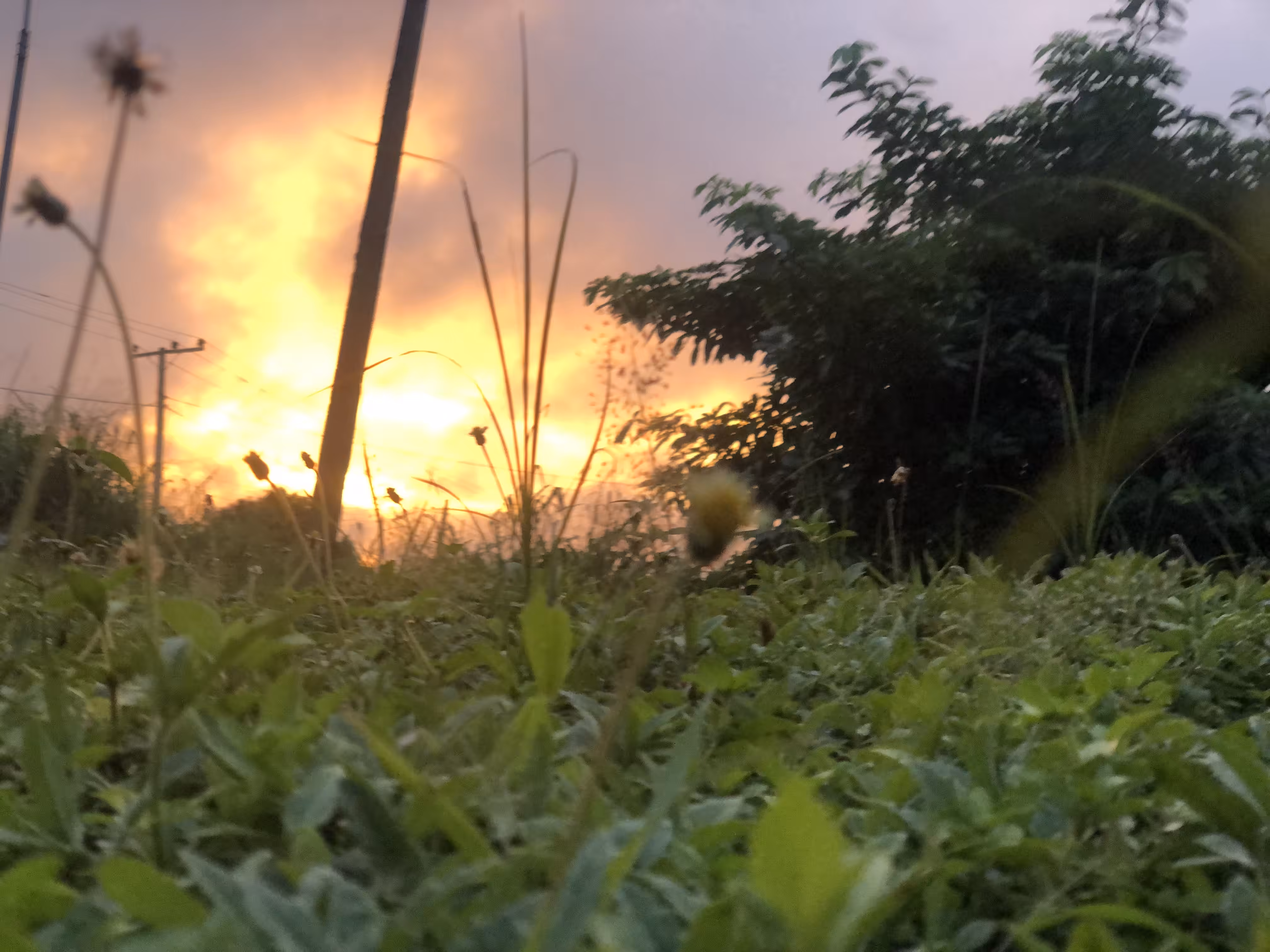 Golden Hour 