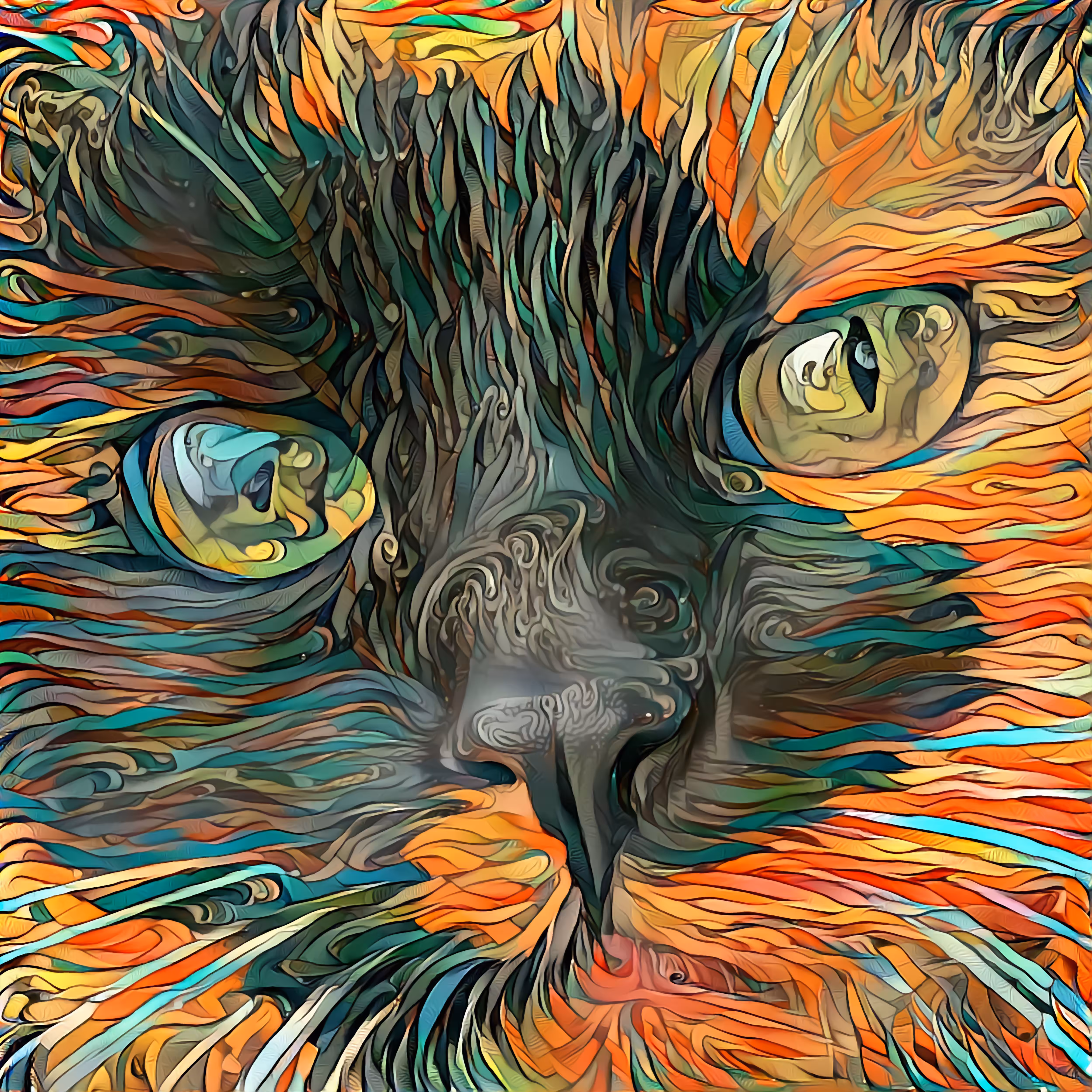 AI Cat